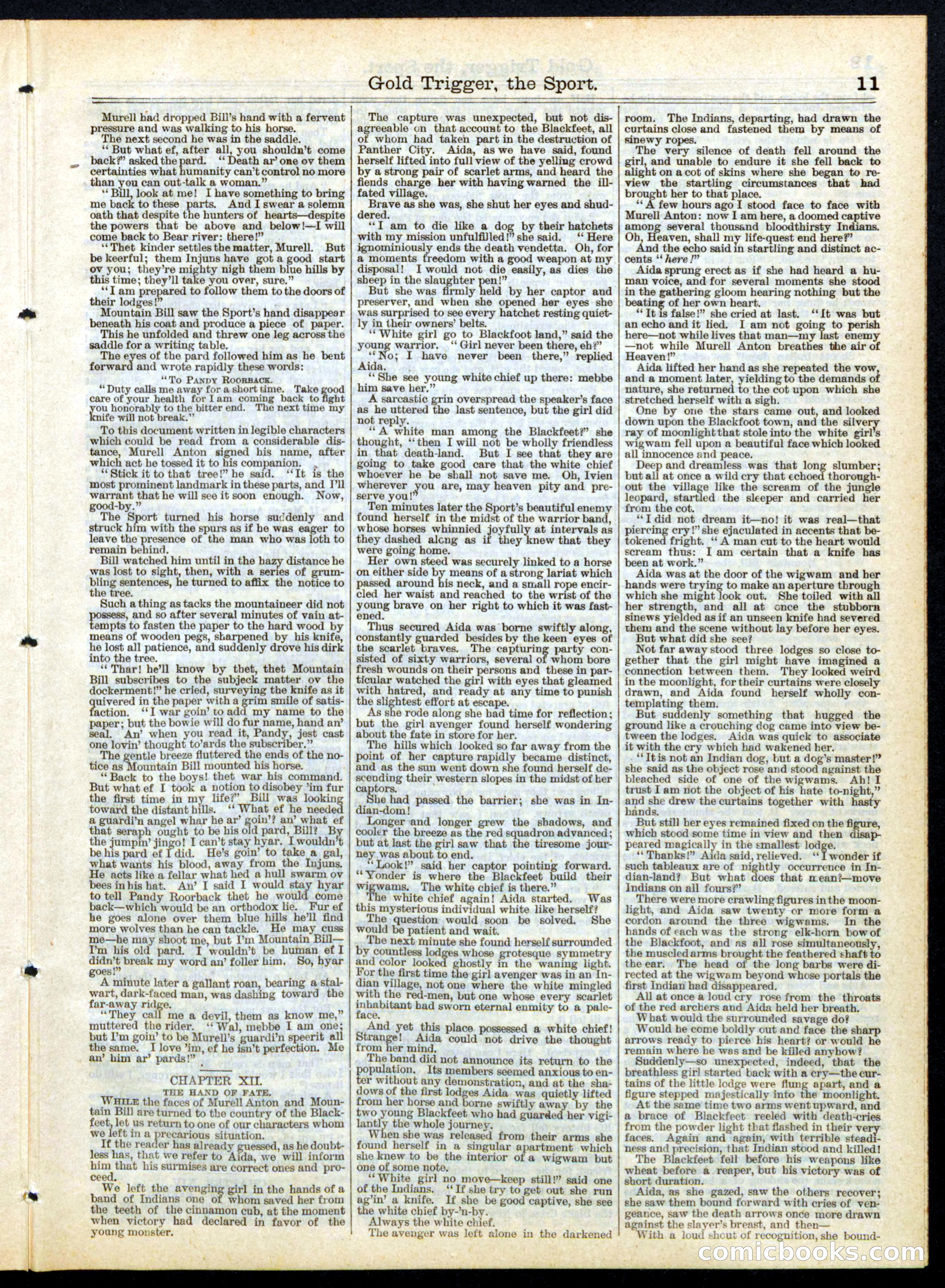 Gold Trigger, the Sport; or, The Girl Avenger — page 11 of 16
