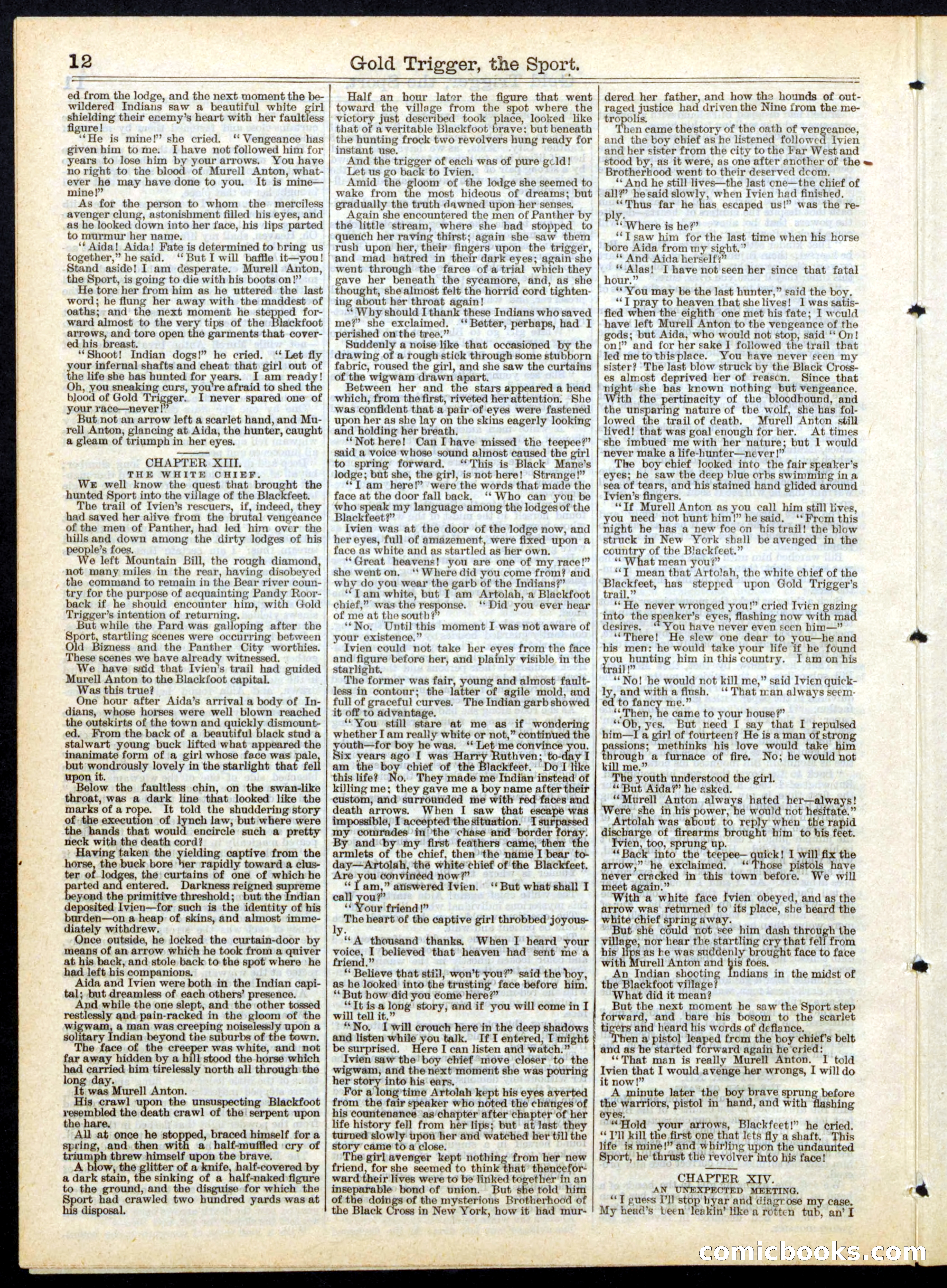Gold Trigger, the Sport; or, The Girl Avenger — page 12 of 16