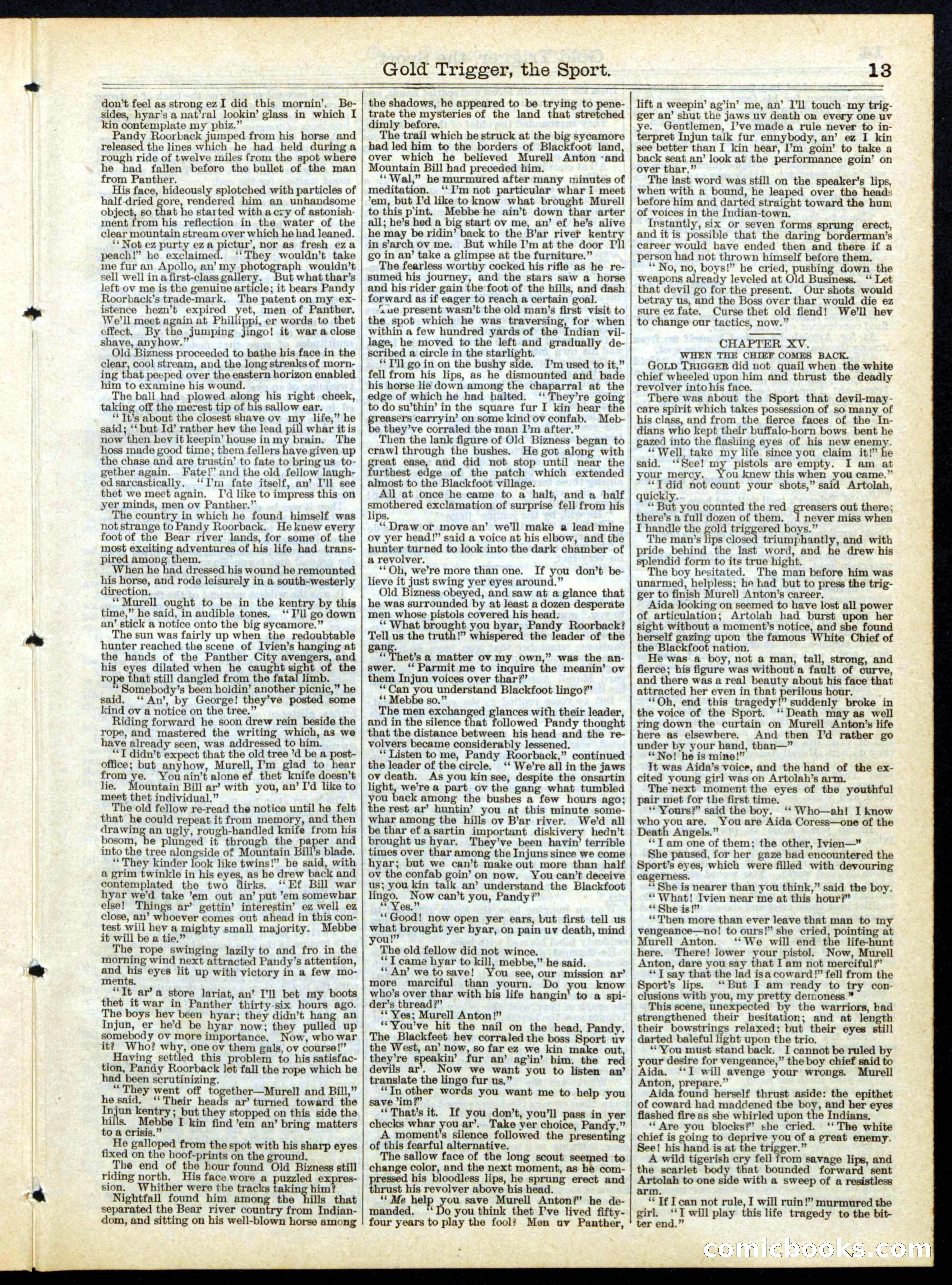 Gold Trigger, the Sport; or, The Girl Avenger — page 13 of 16