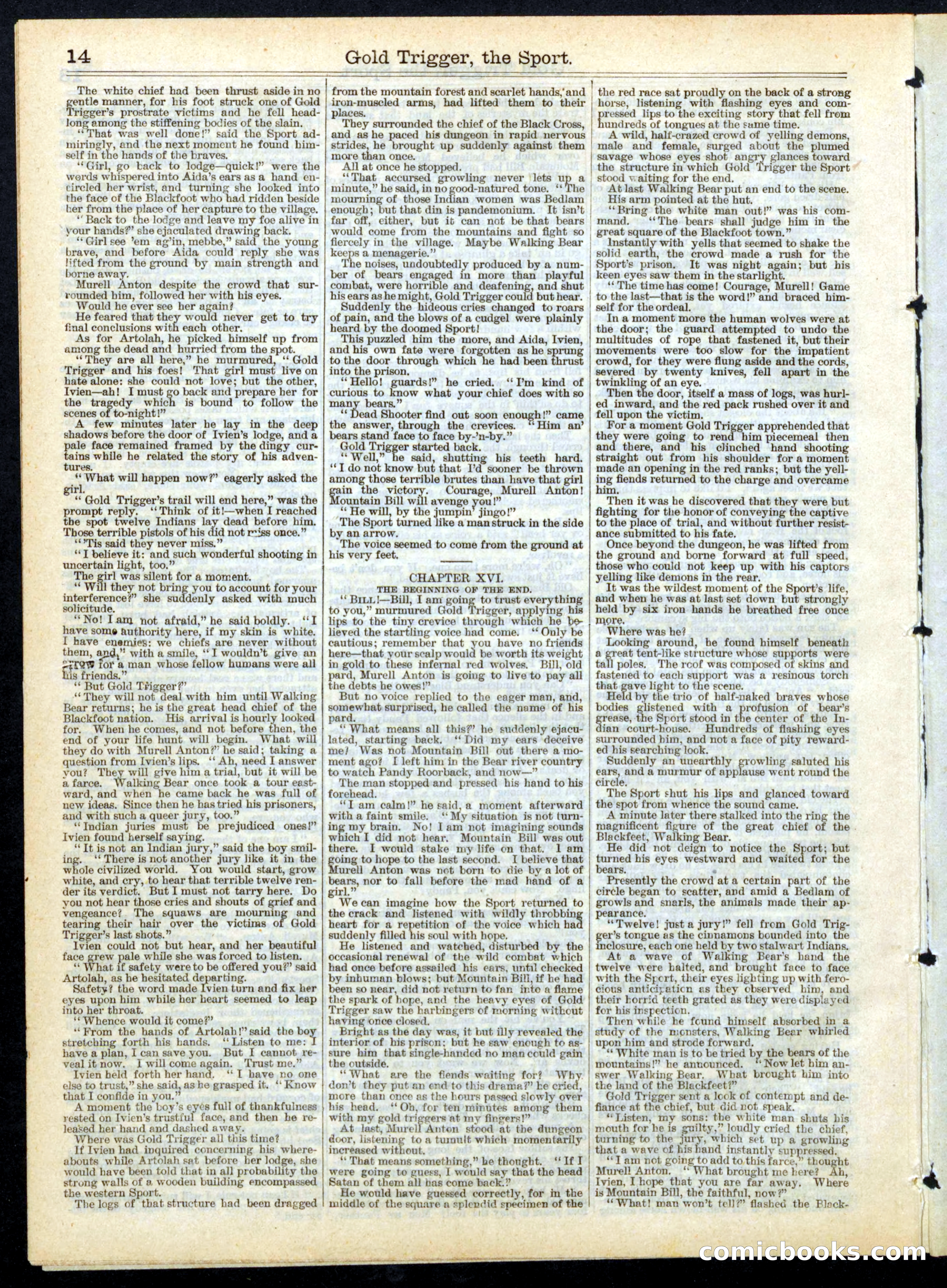 Gold Trigger, the Sport; or, The Girl Avenger — page 14 of 16