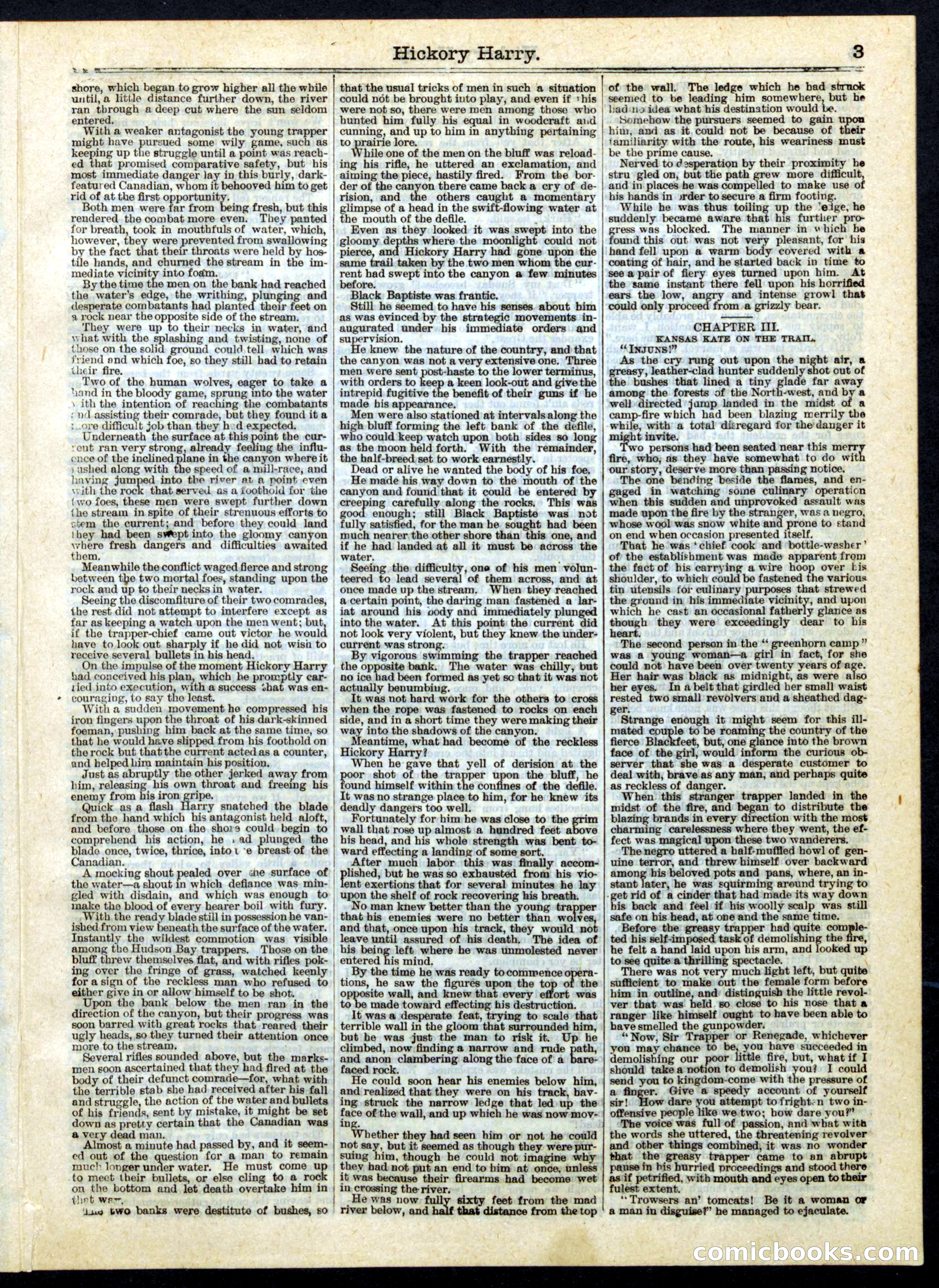 Hickory Harry; or, The Trapper-Brigade's Spy — page 3 of 16