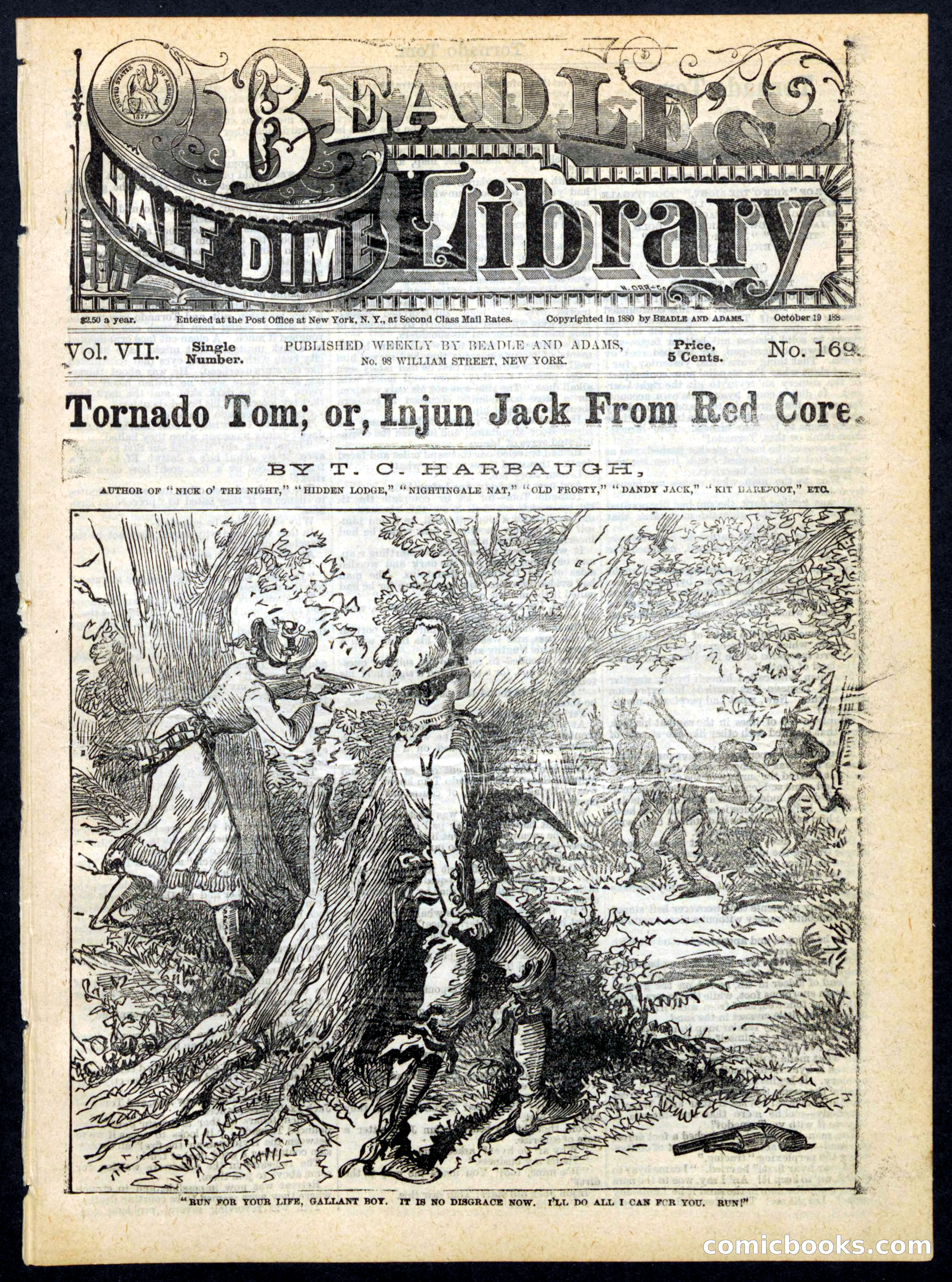 Beadle's Half Dime Library, No. 169