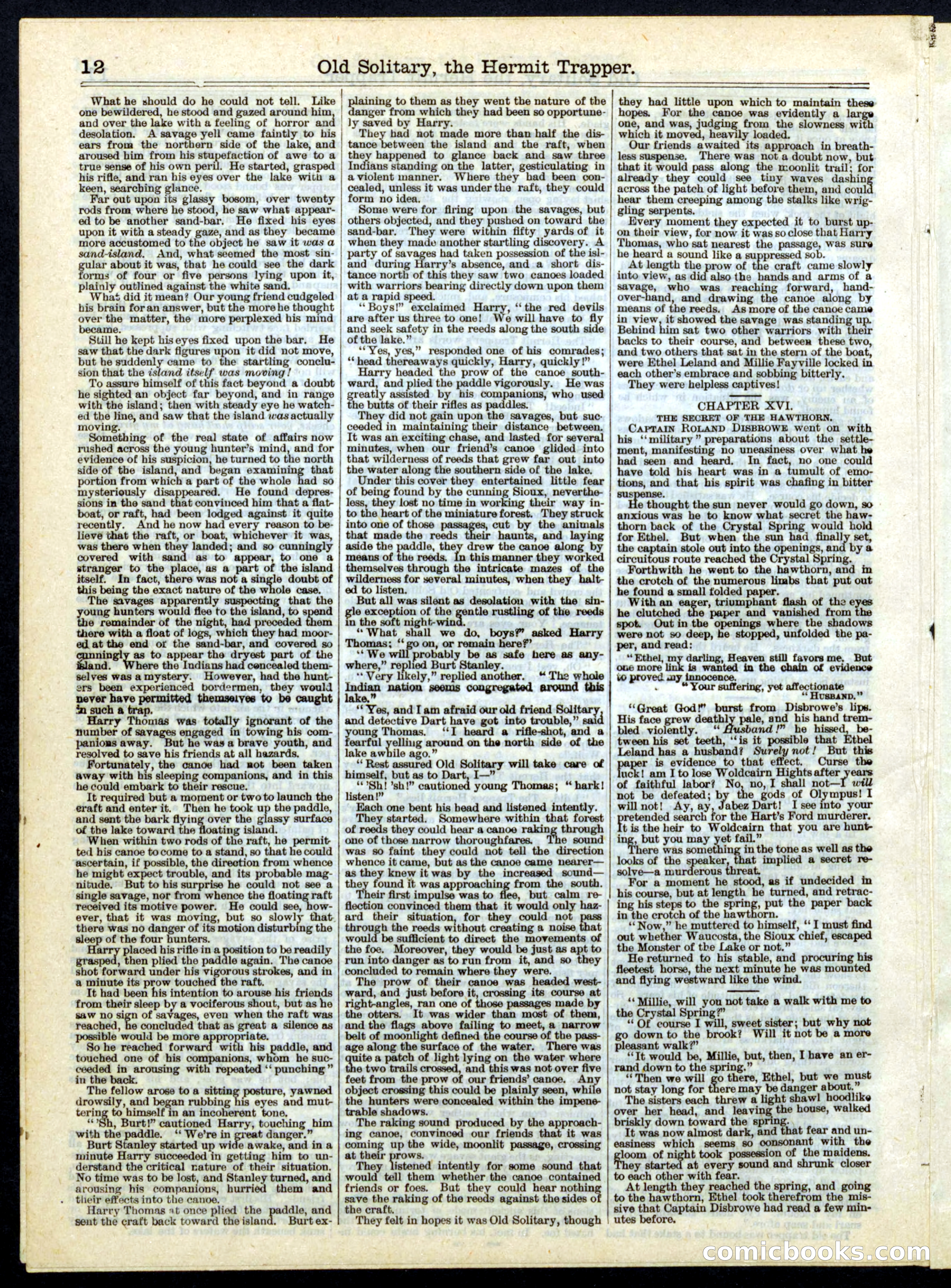 Beadle's Half Dime Library, No. 178 — page 12 of 16