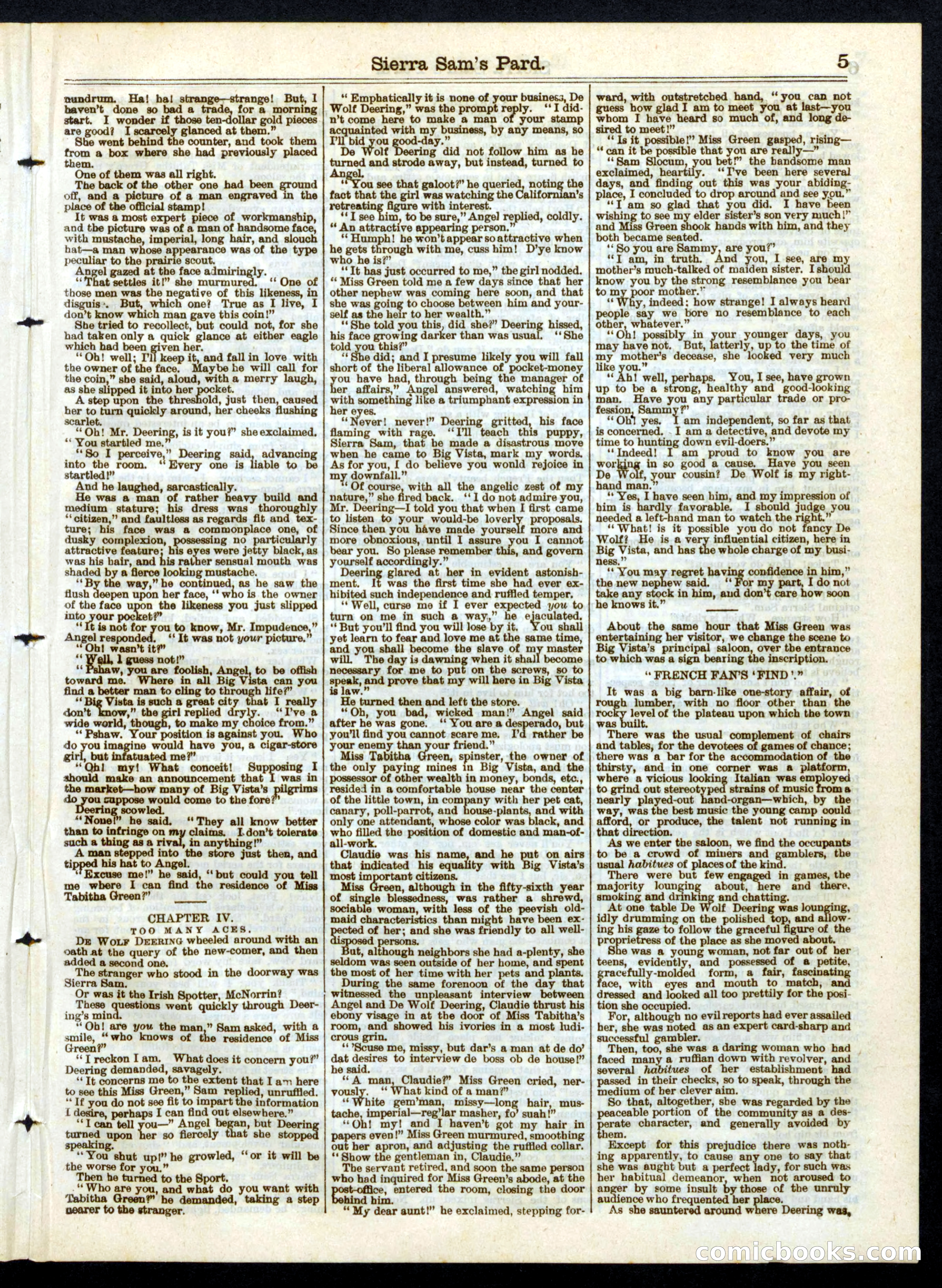 Sierra Sam's Pard; or, The Angel of Big Vista — page 5 of 16