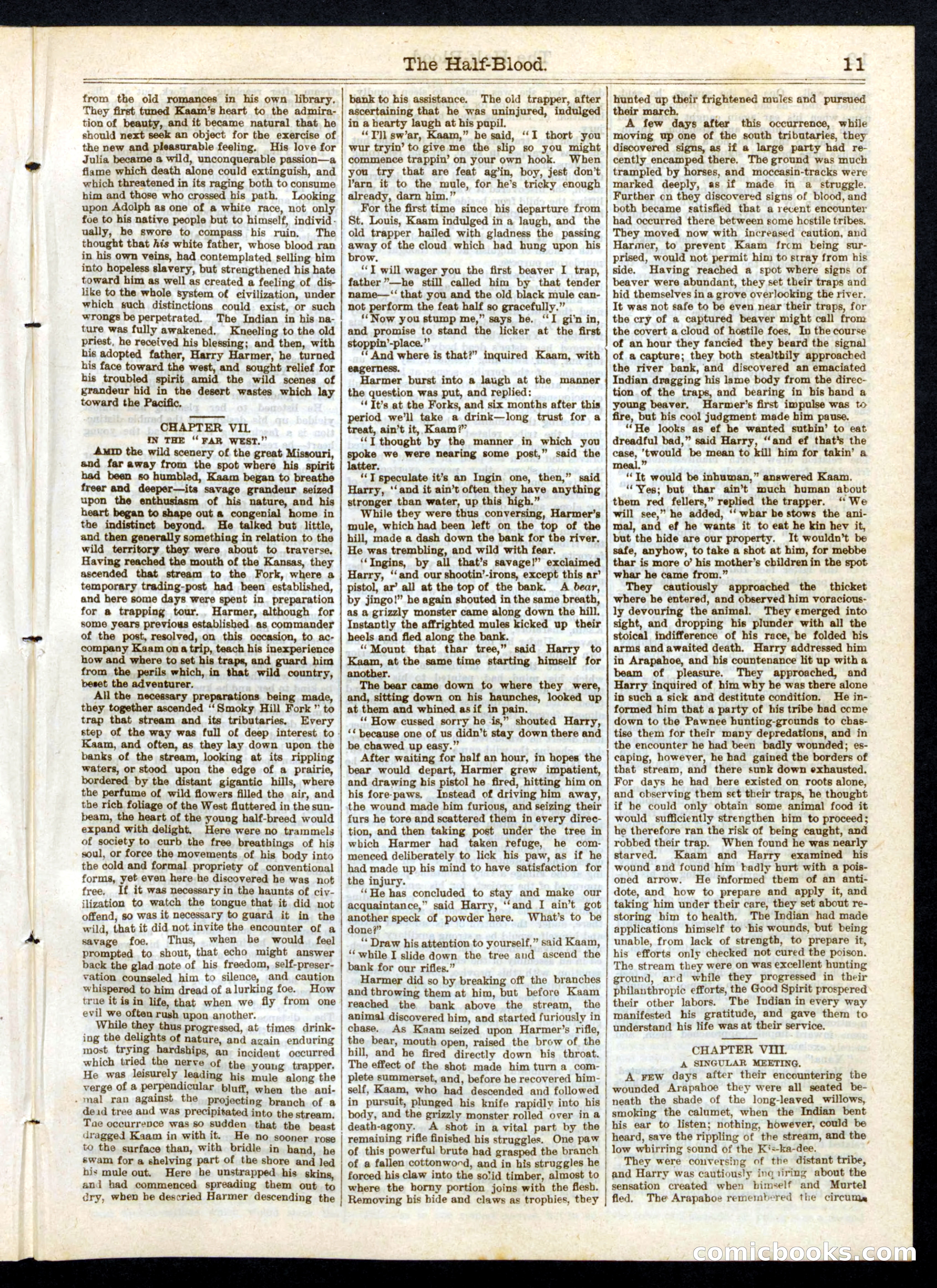 The Half-Blood; or, The Panther of the Plains — page 11 of 16