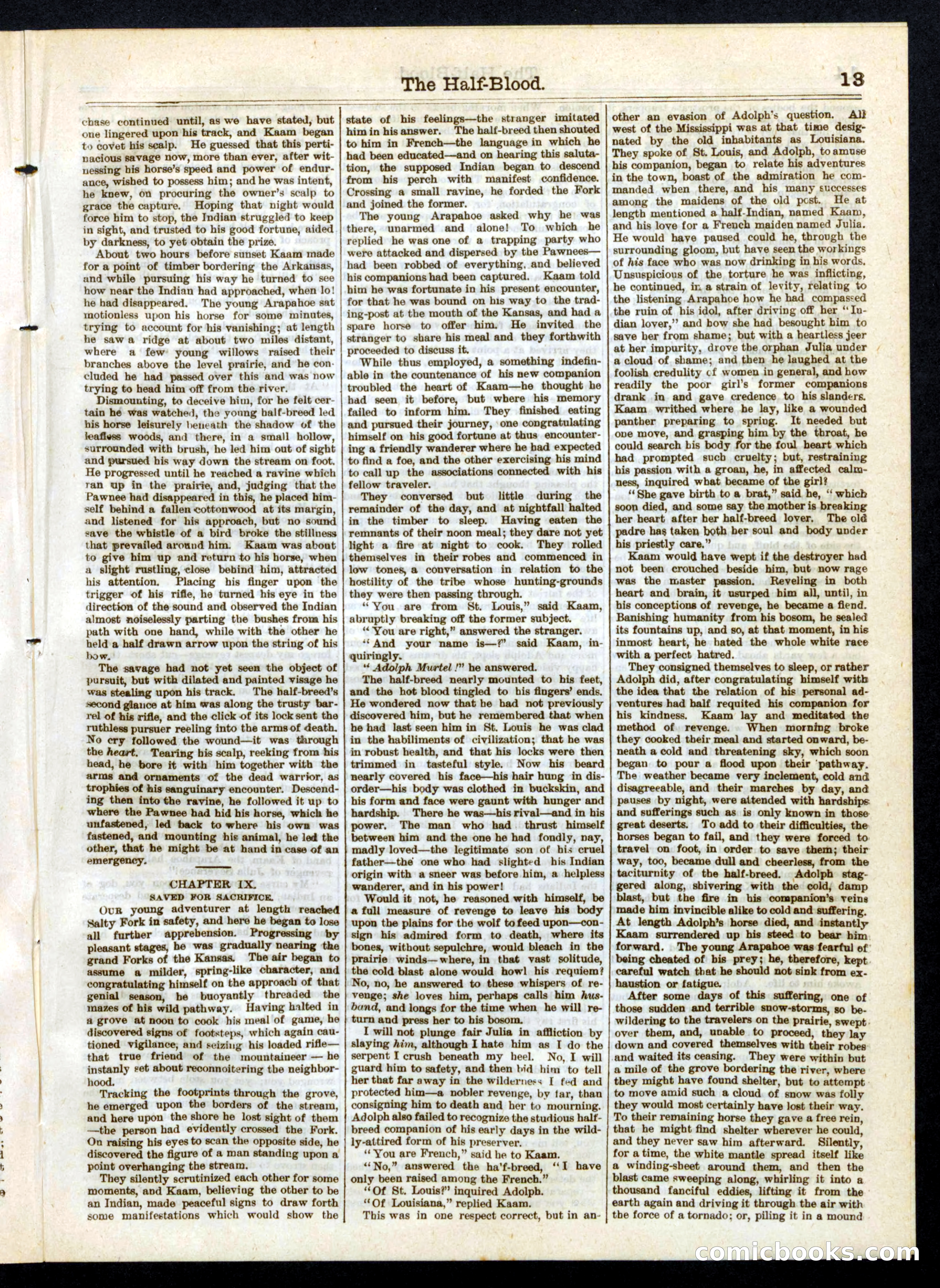 The Half-Blood; or, The Panther of the Plains — page 13 of 16