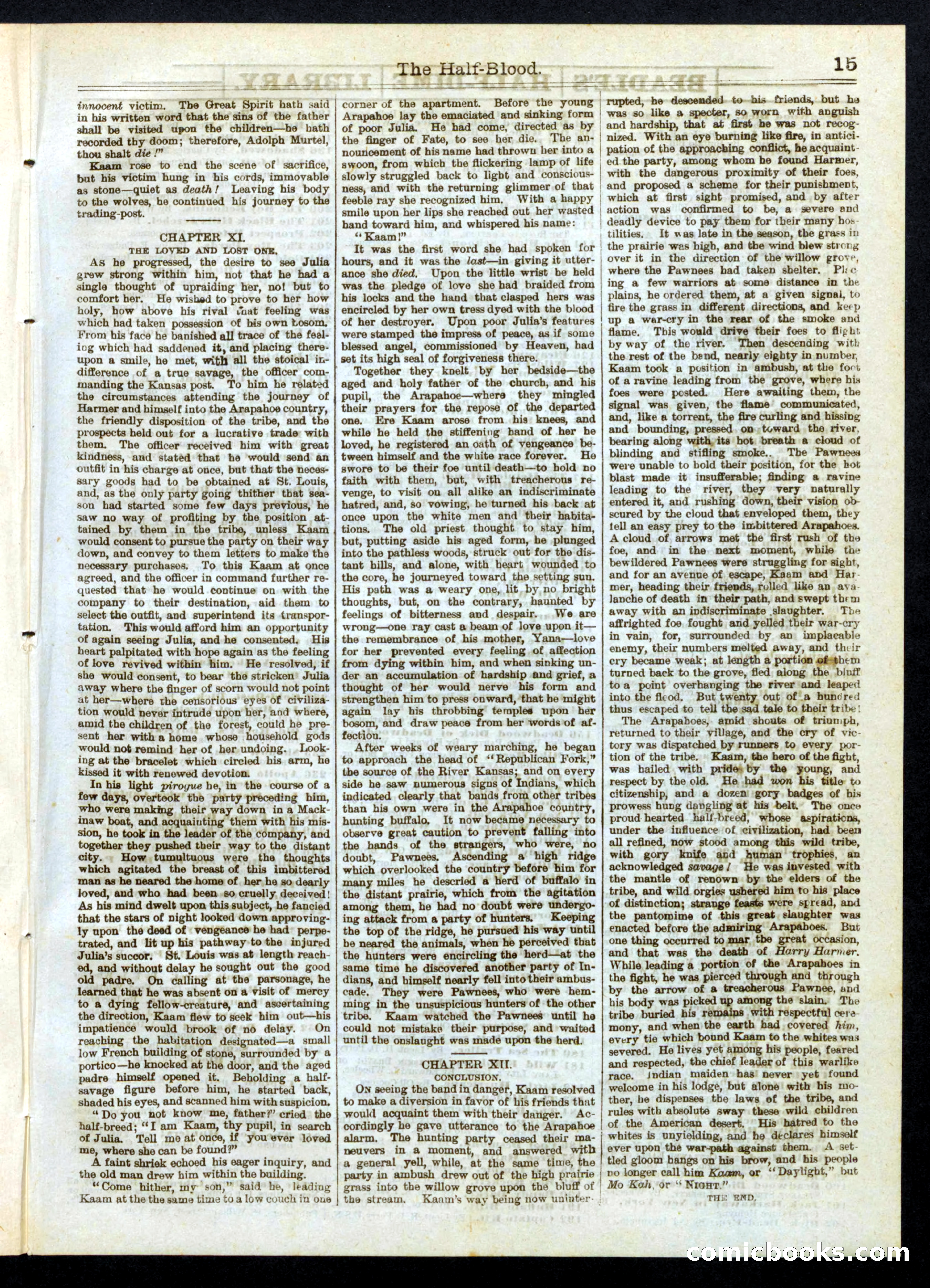 The Half-Blood; or, The Panther of the Plains — page 15 of 16