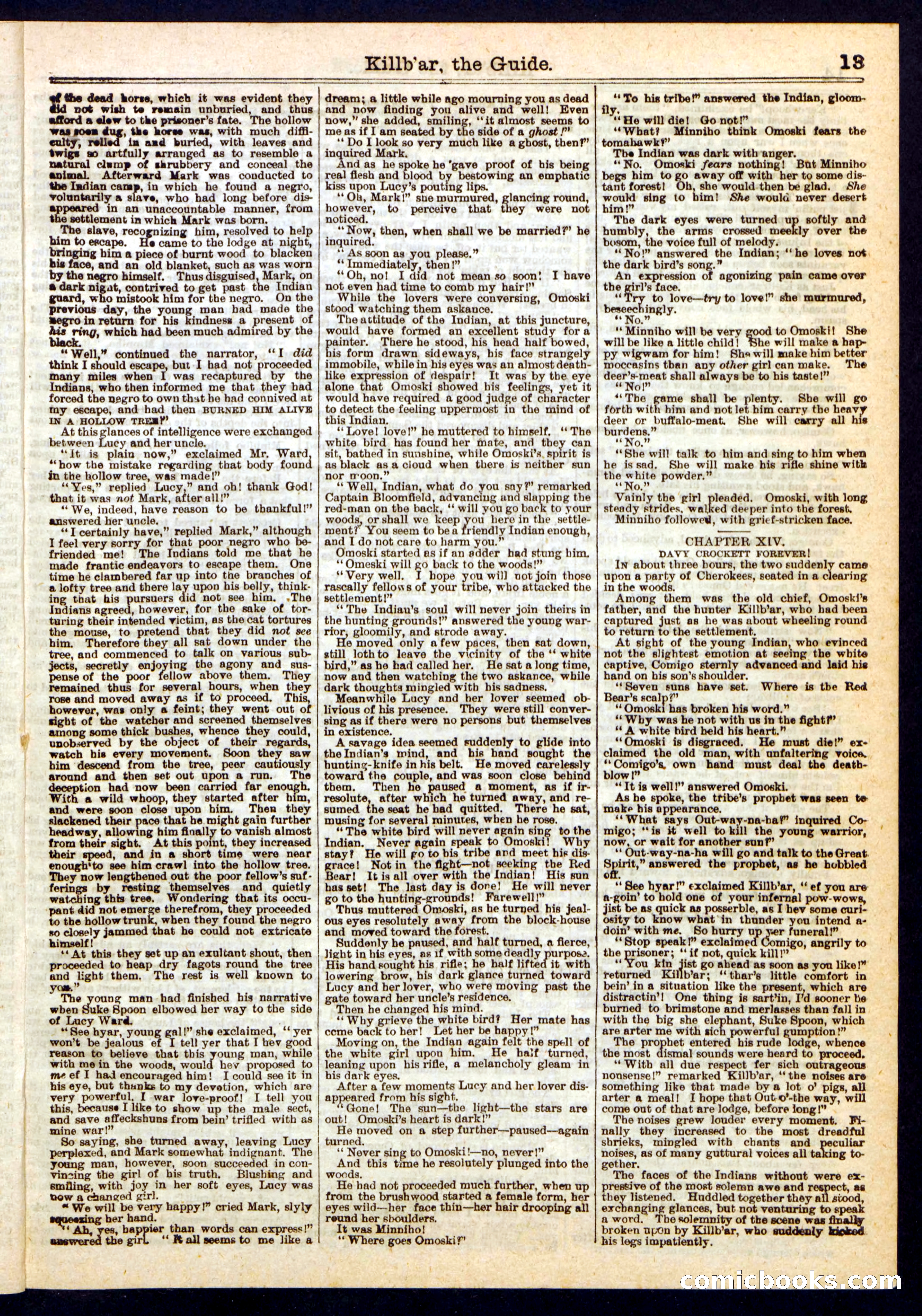 Killbar, the Guide; or, Davy Crockett's Crooked Trail — page 13 of 16