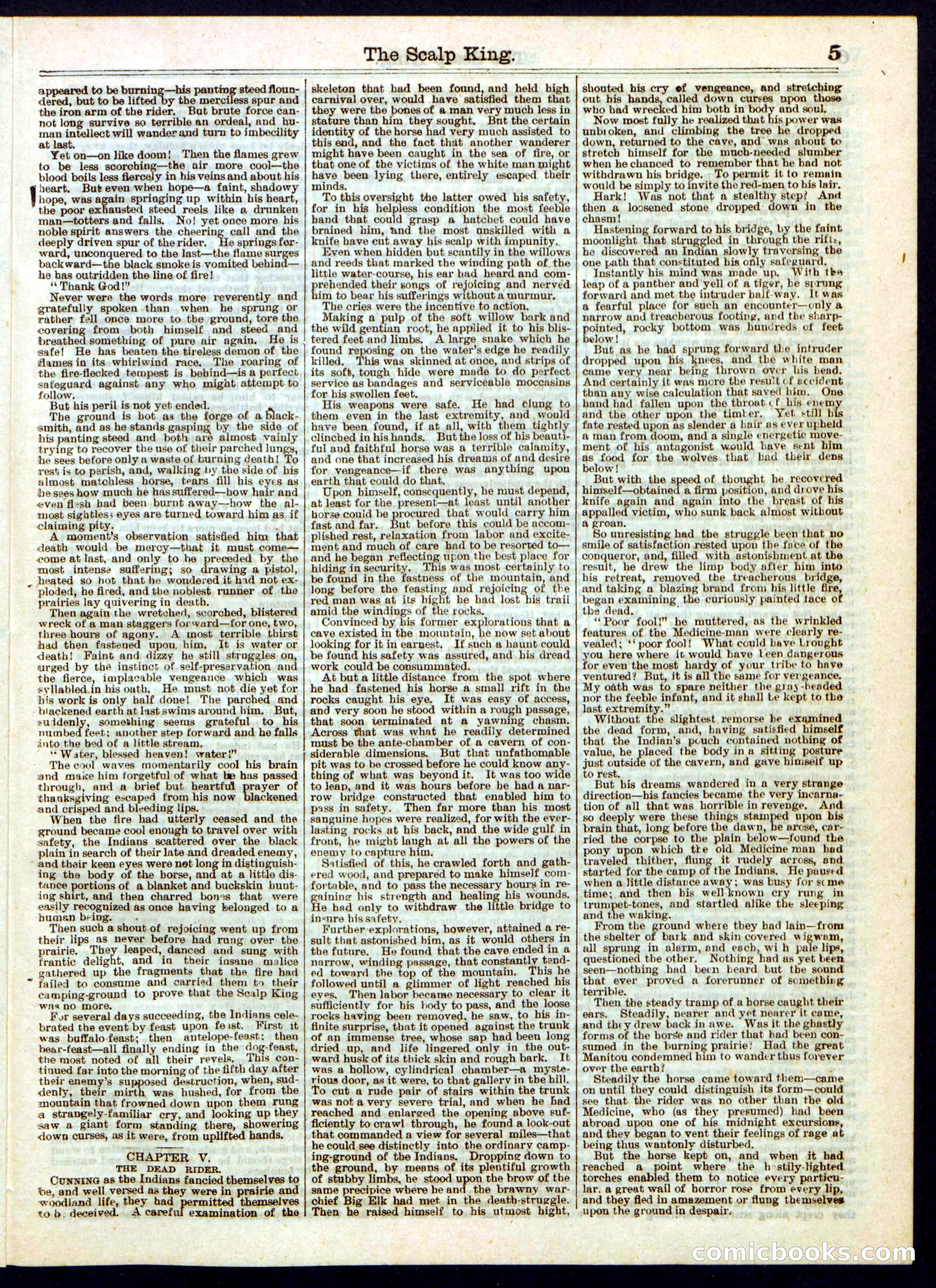 The Scalp King; or, The Human Thunderbolt — page 5 of 16