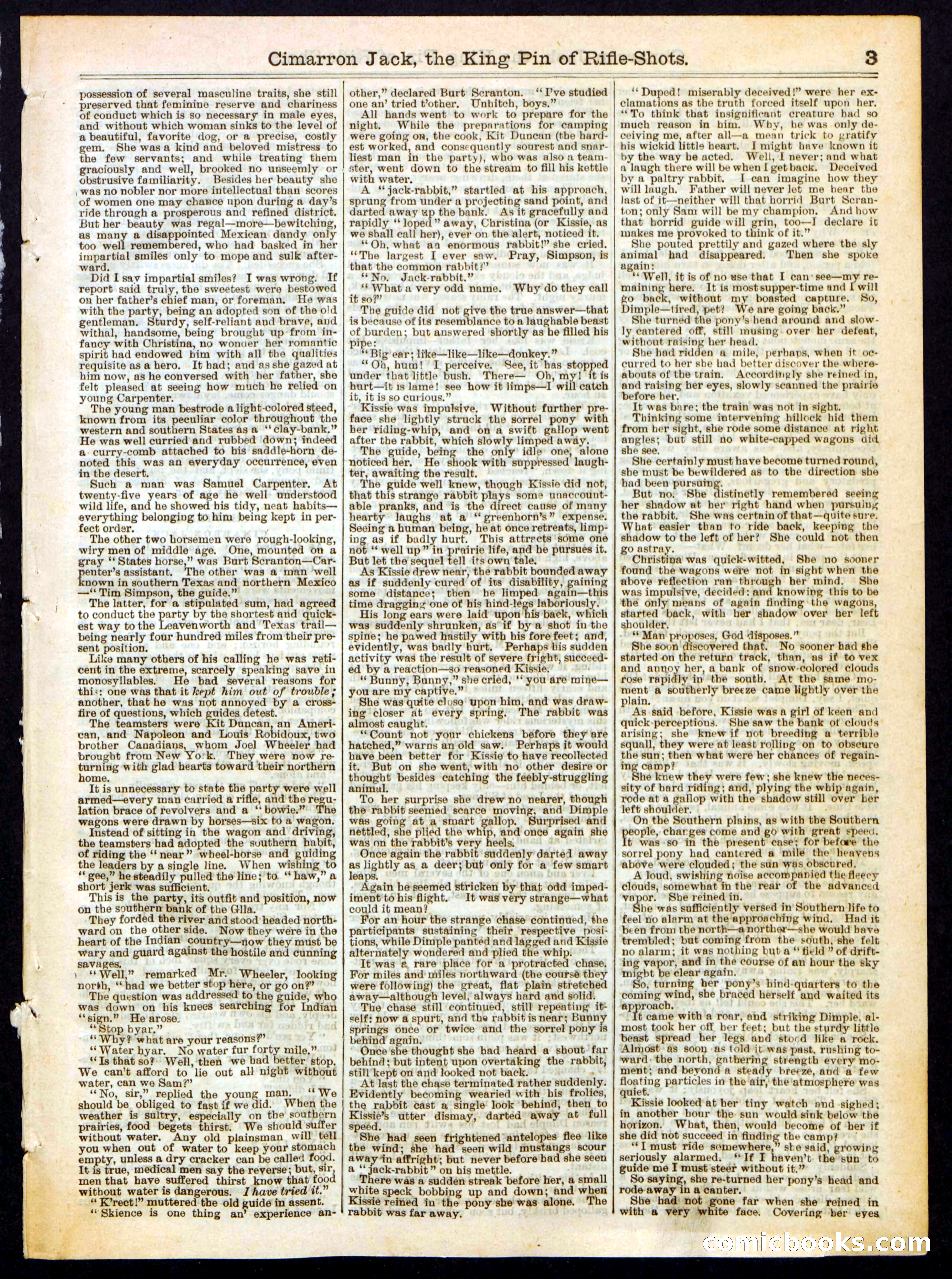 Beadle's Half Dime Library No. 318 — page 3 of 16