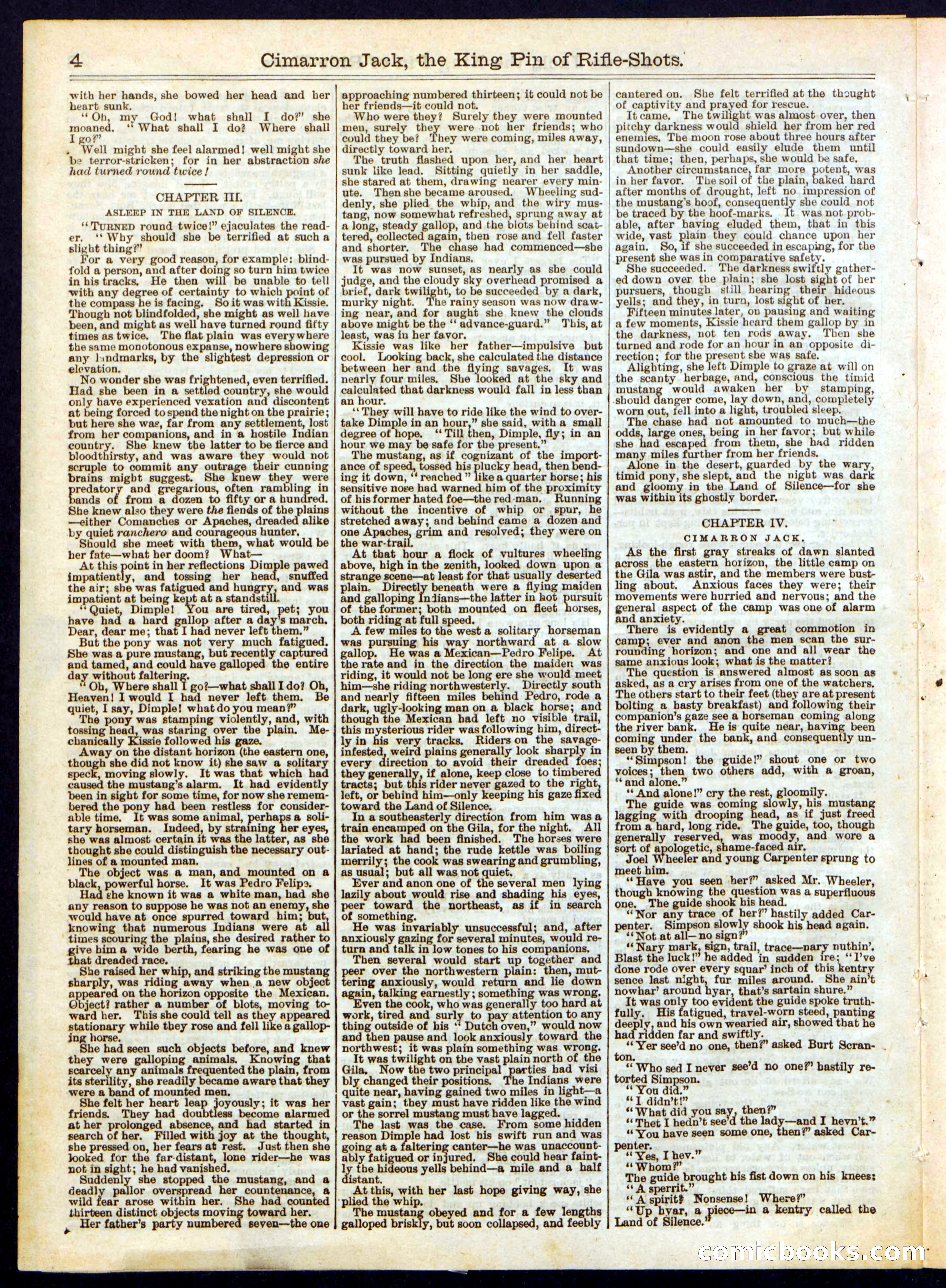 Beadle's Half Dime Library No. 318 — page 4 of 16