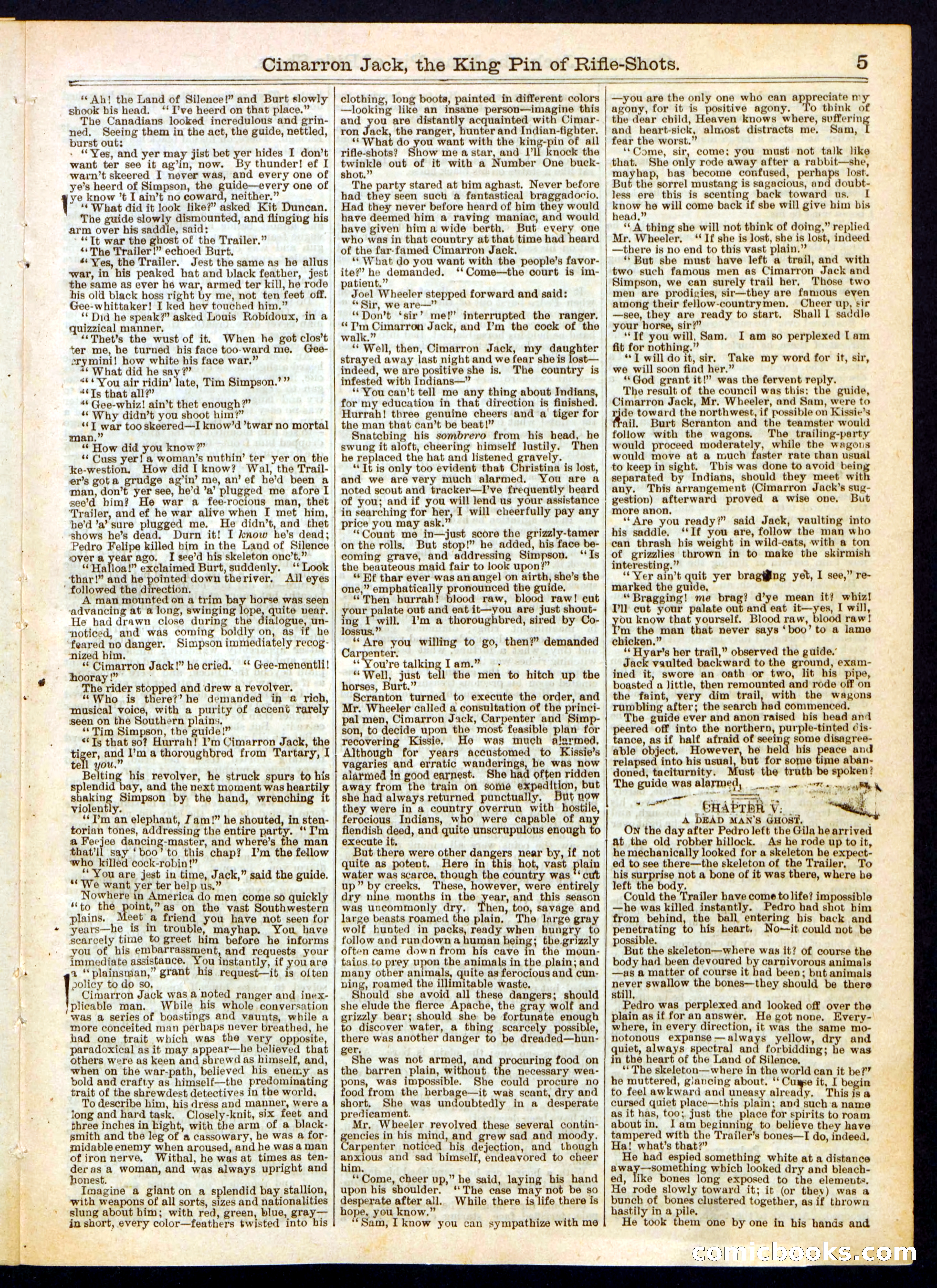 Beadle's Half Dime Library No. 318 — page 5 of 16