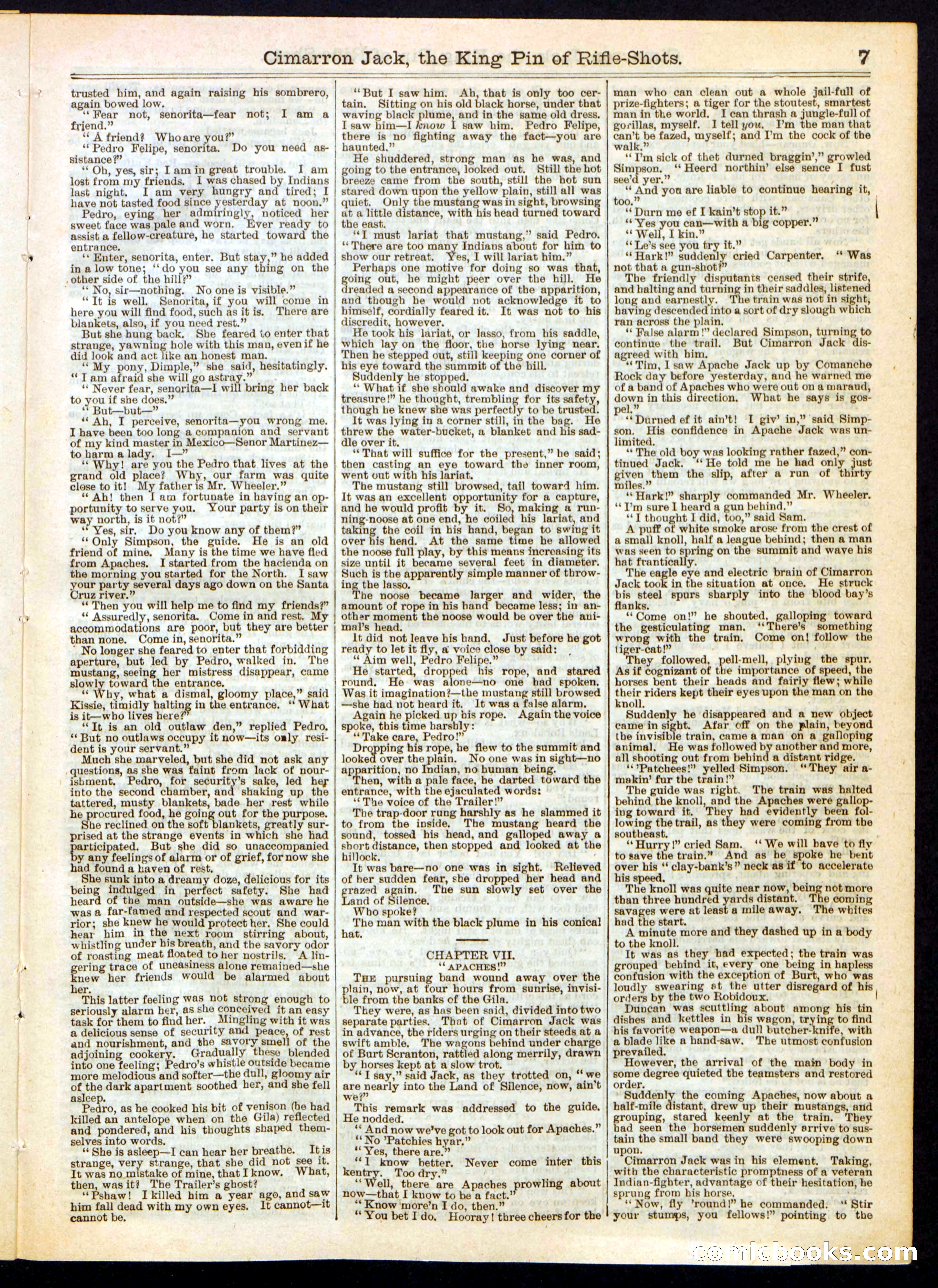 Beadle's Half Dime Library No. 318 — page 7 of 16