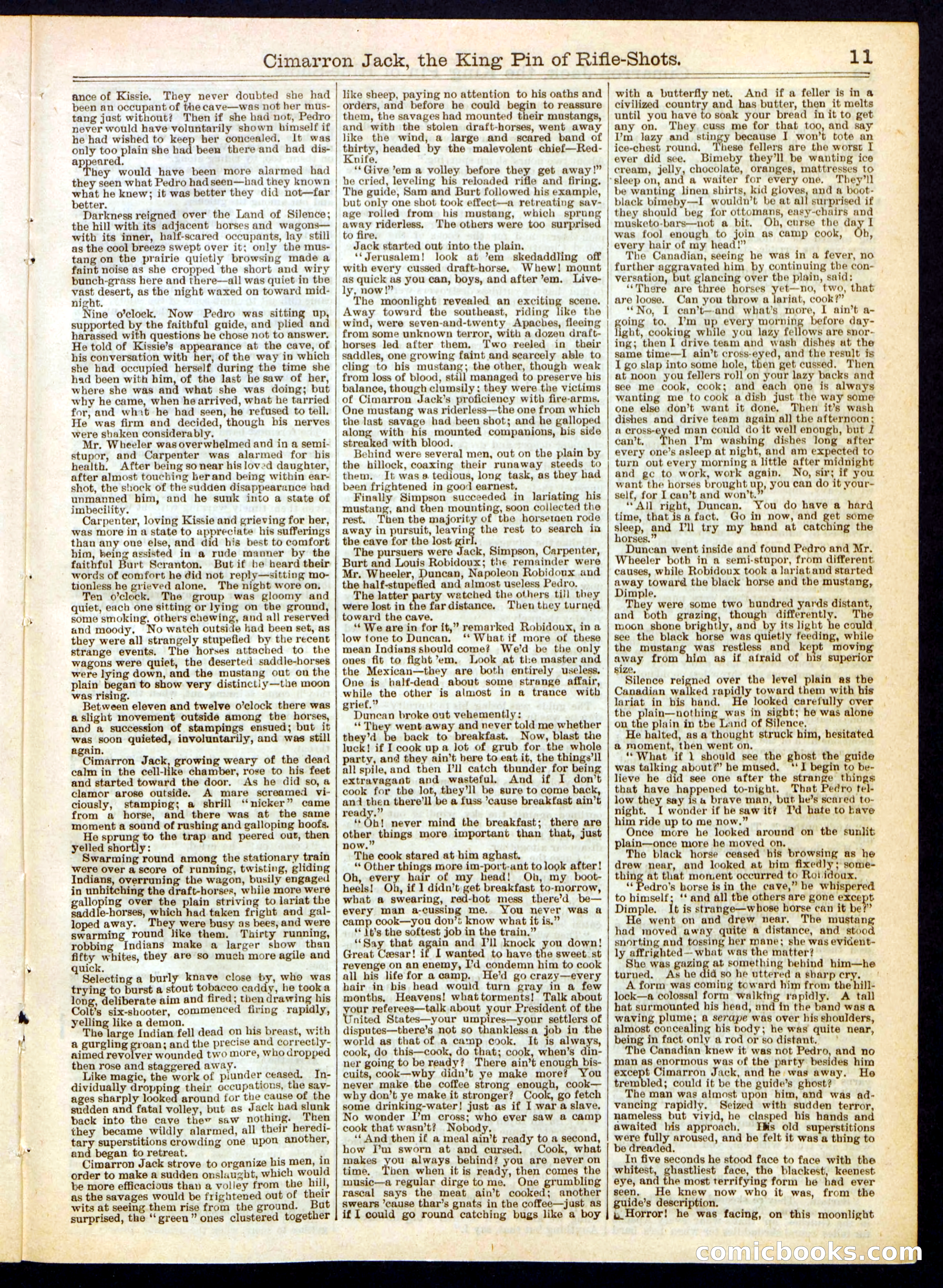 Beadle's Half Dime Library No. 318 — page 11 of 16