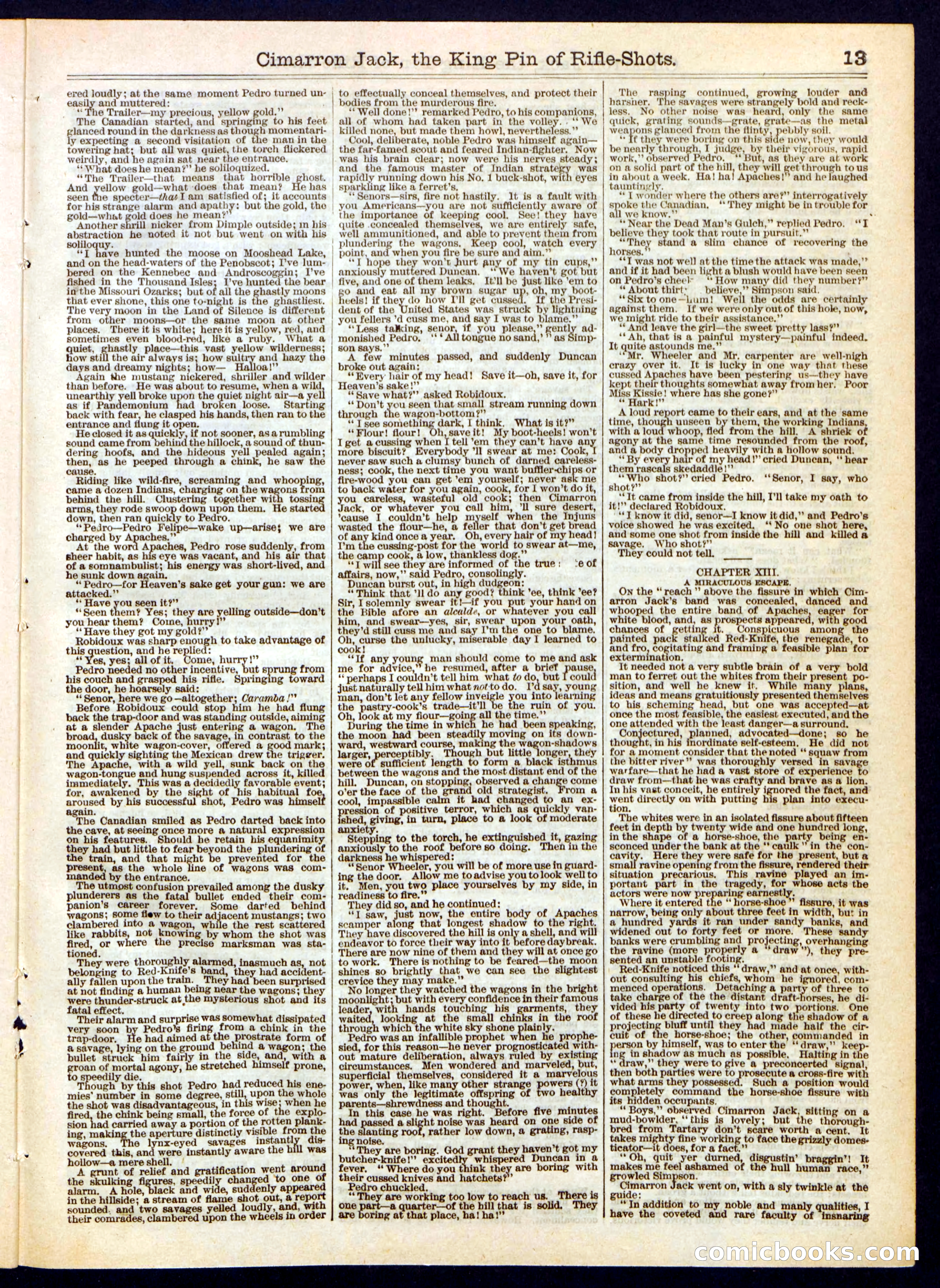 Beadle's Half Dime Library No. 318 — page 13 of 16
