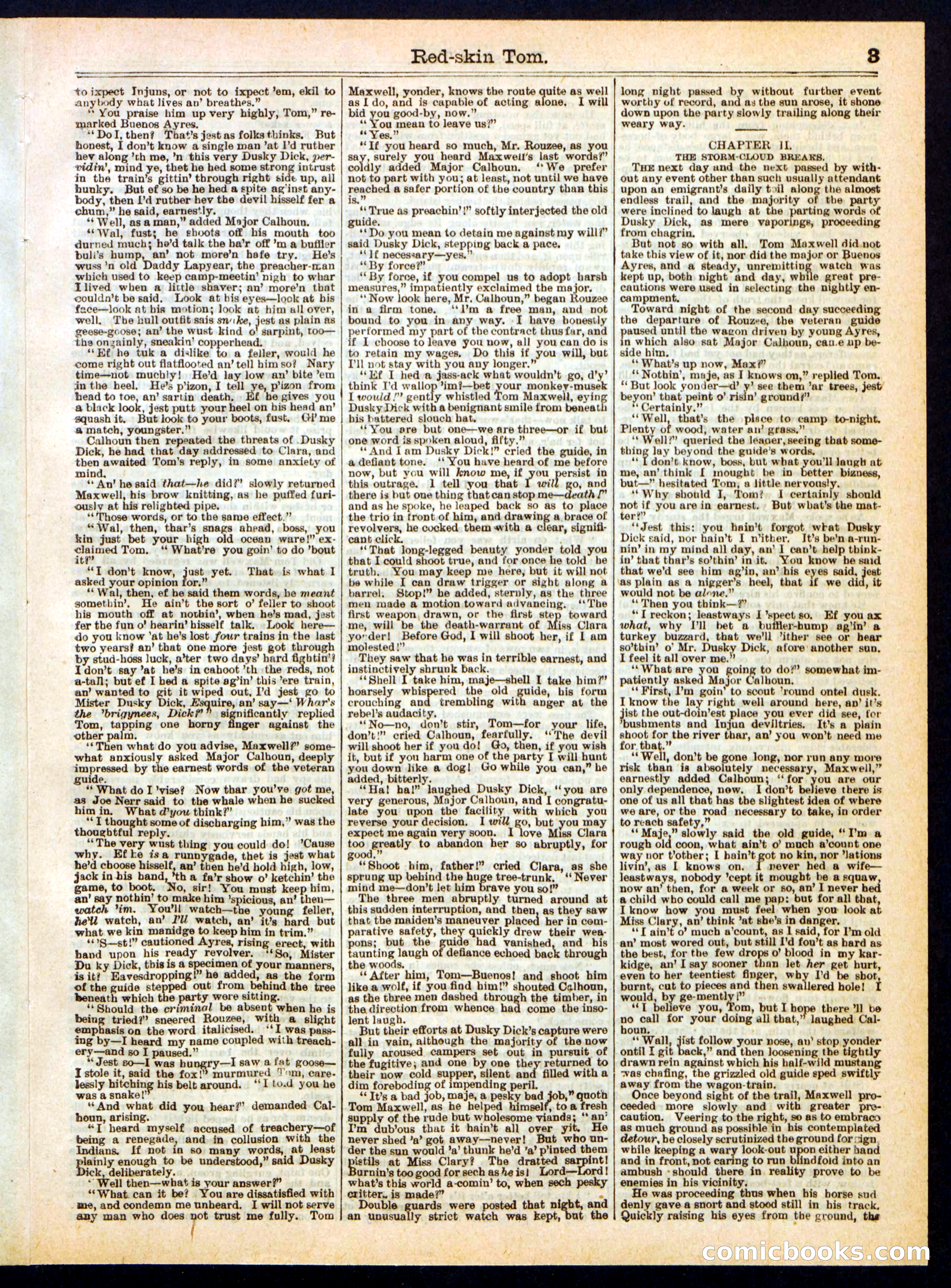 Red-Skin Tom; or, The Demon's Trail — page 3 of 16