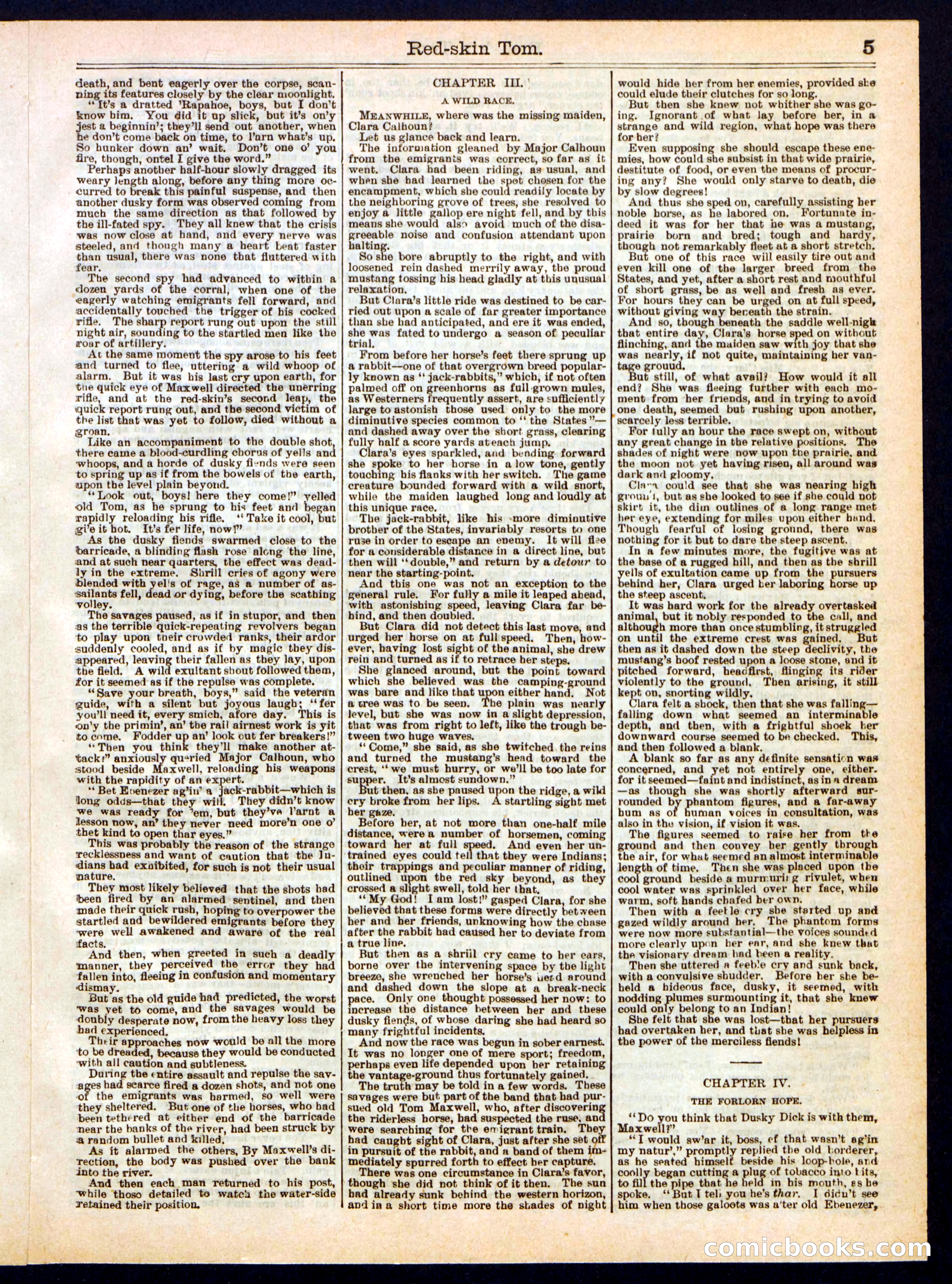 Red-Skin Tom; or, The Demon's Trail — page 5 of 16