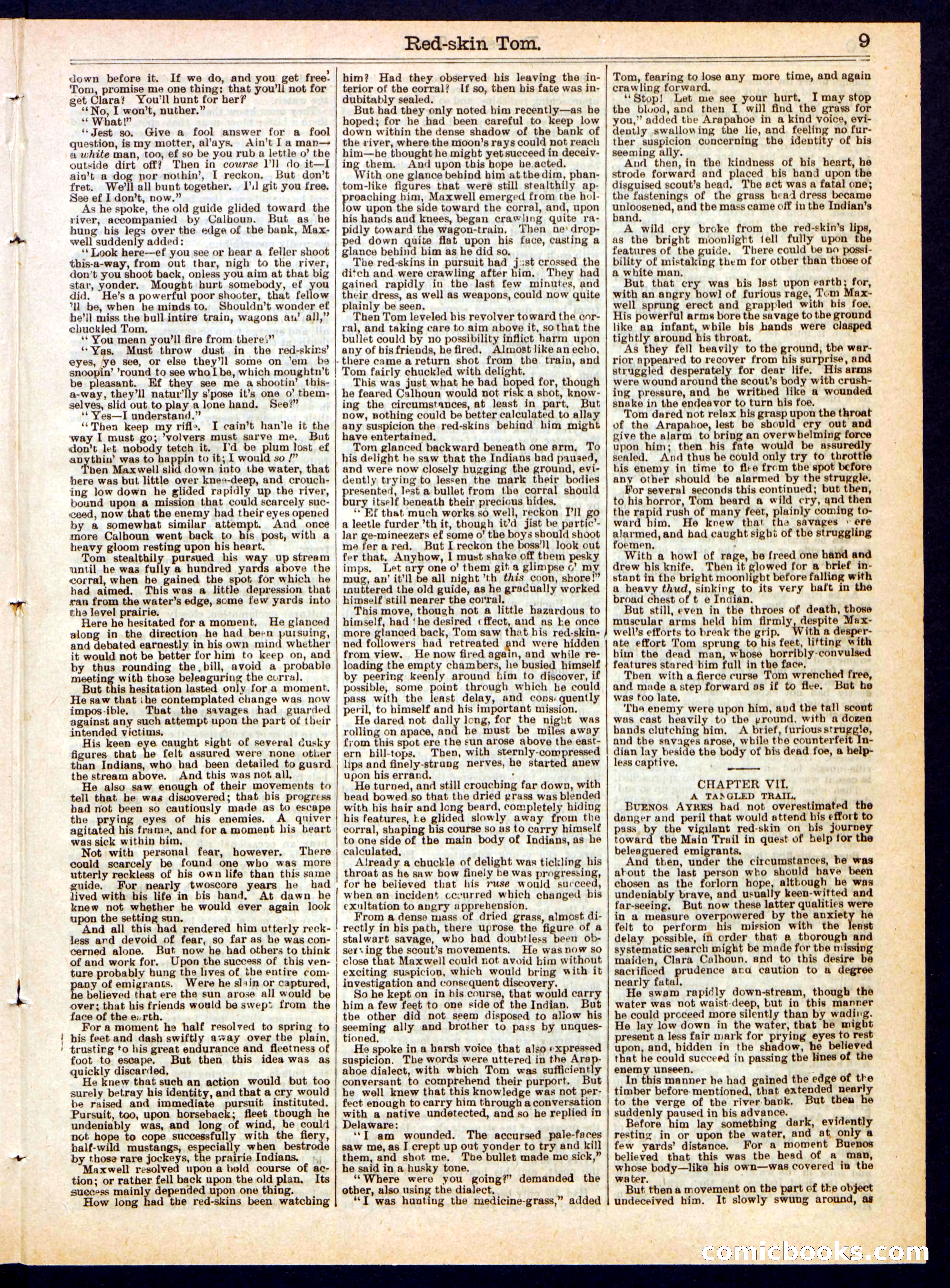 Red-Skin Tom; or, The Demon's Trail — page 9 of 16