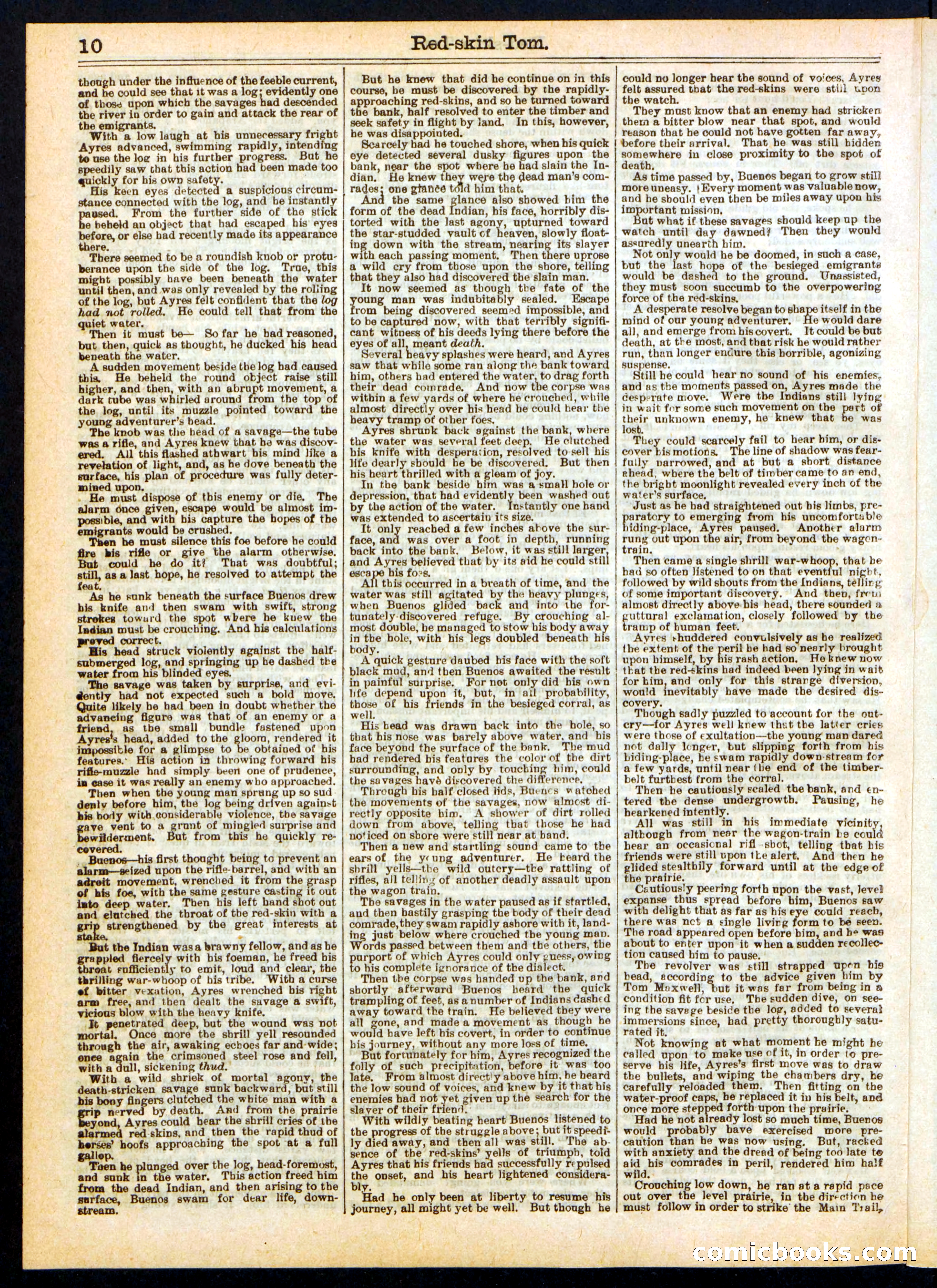Red-Skin Tom; or, The Demon's Trail — page 10 of 16