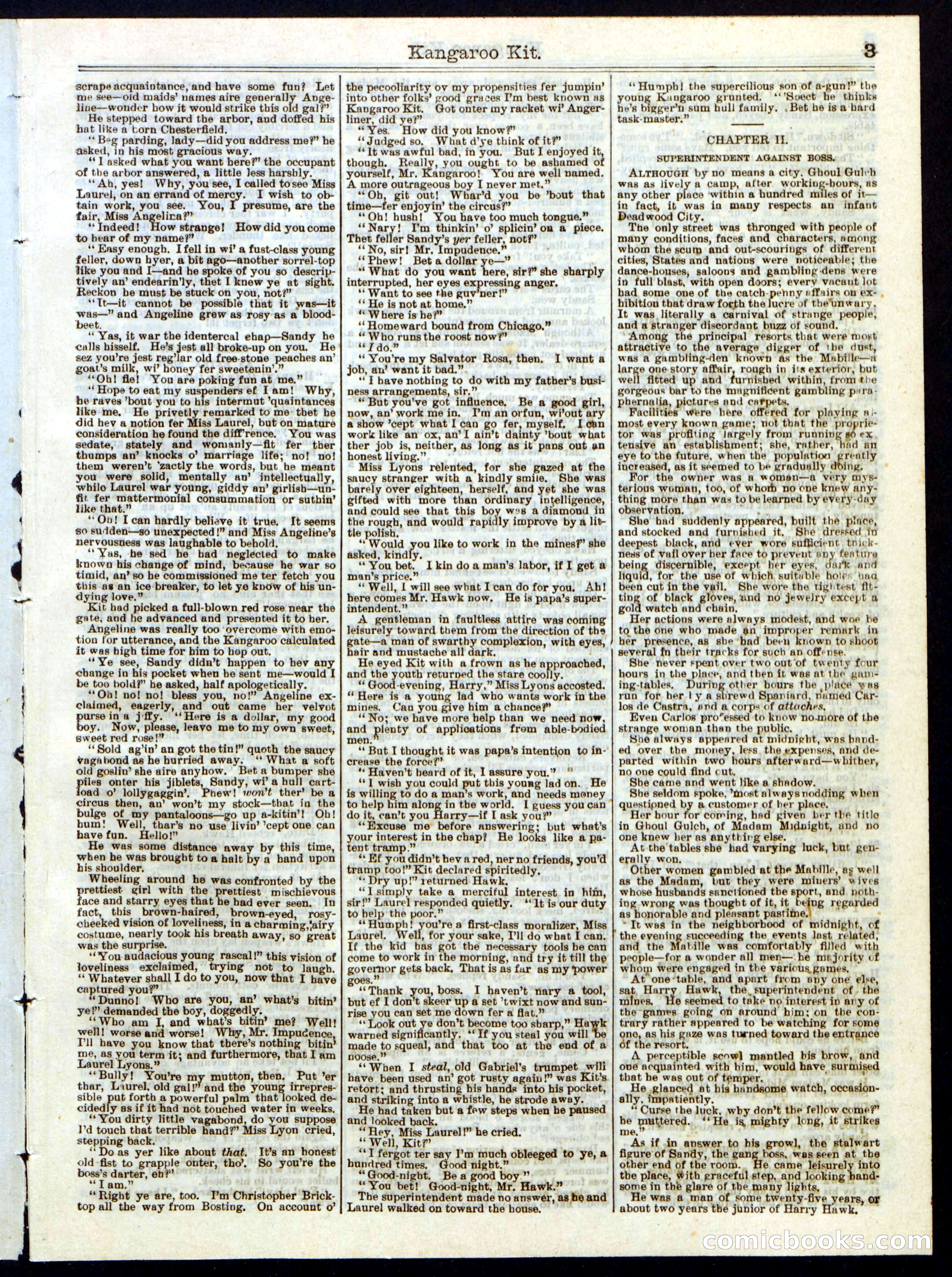 Kangaroo Kit; or, The Mysterious Miner — page 3 of 16