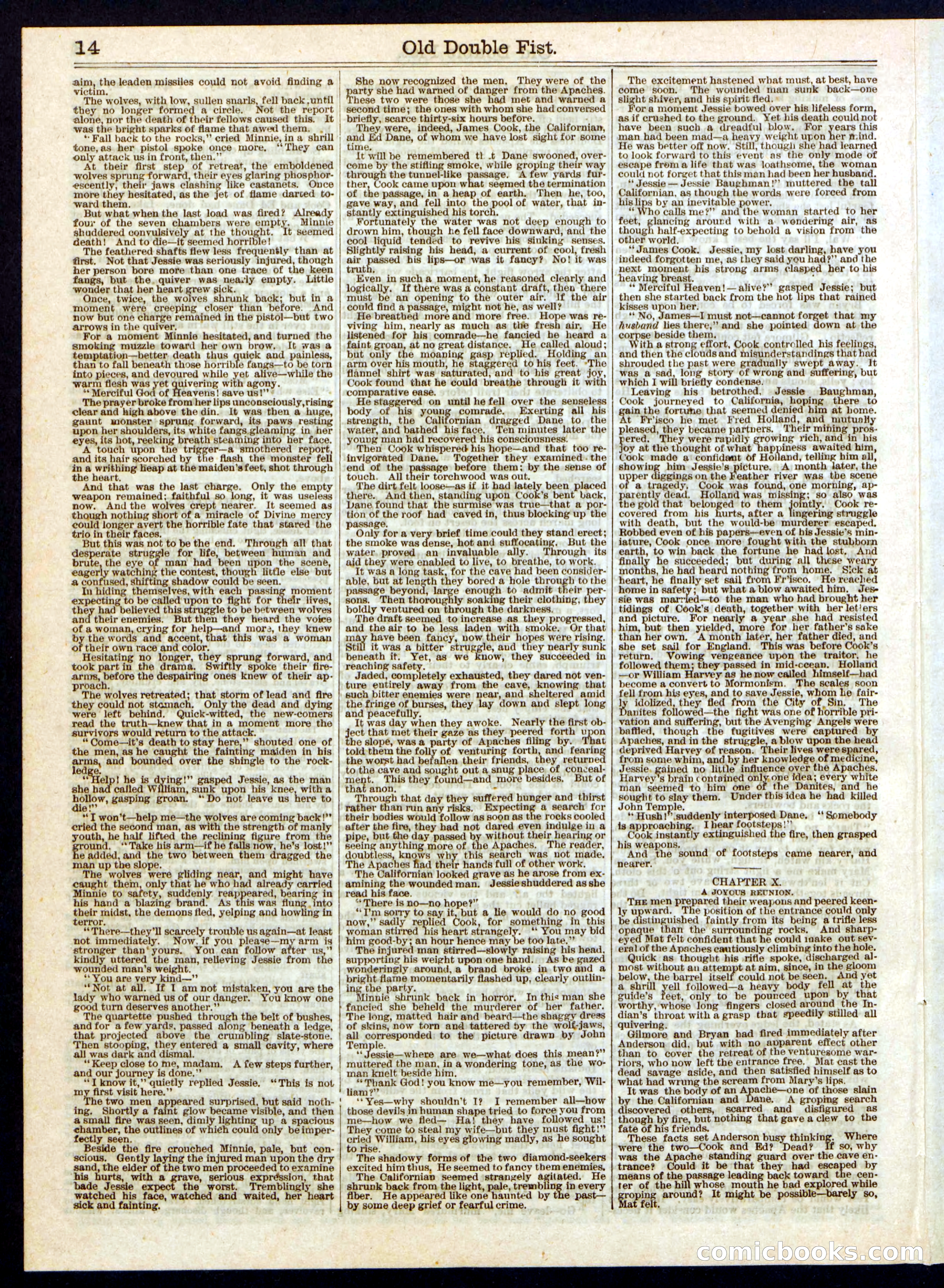 Old Double Fist; or, The Strange Guide — page 14 of 16