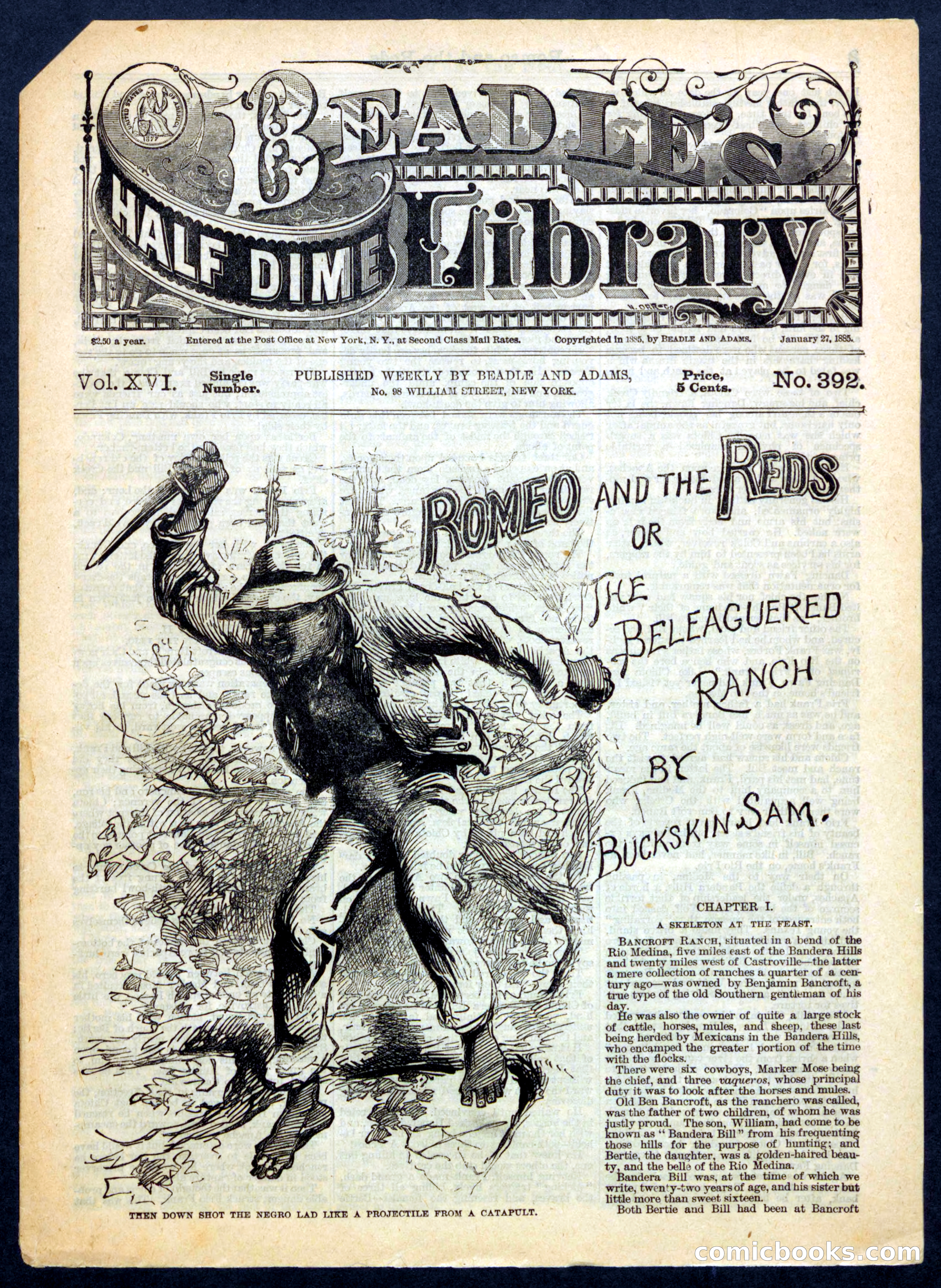 Beadle's Half Dime Library No. 392
