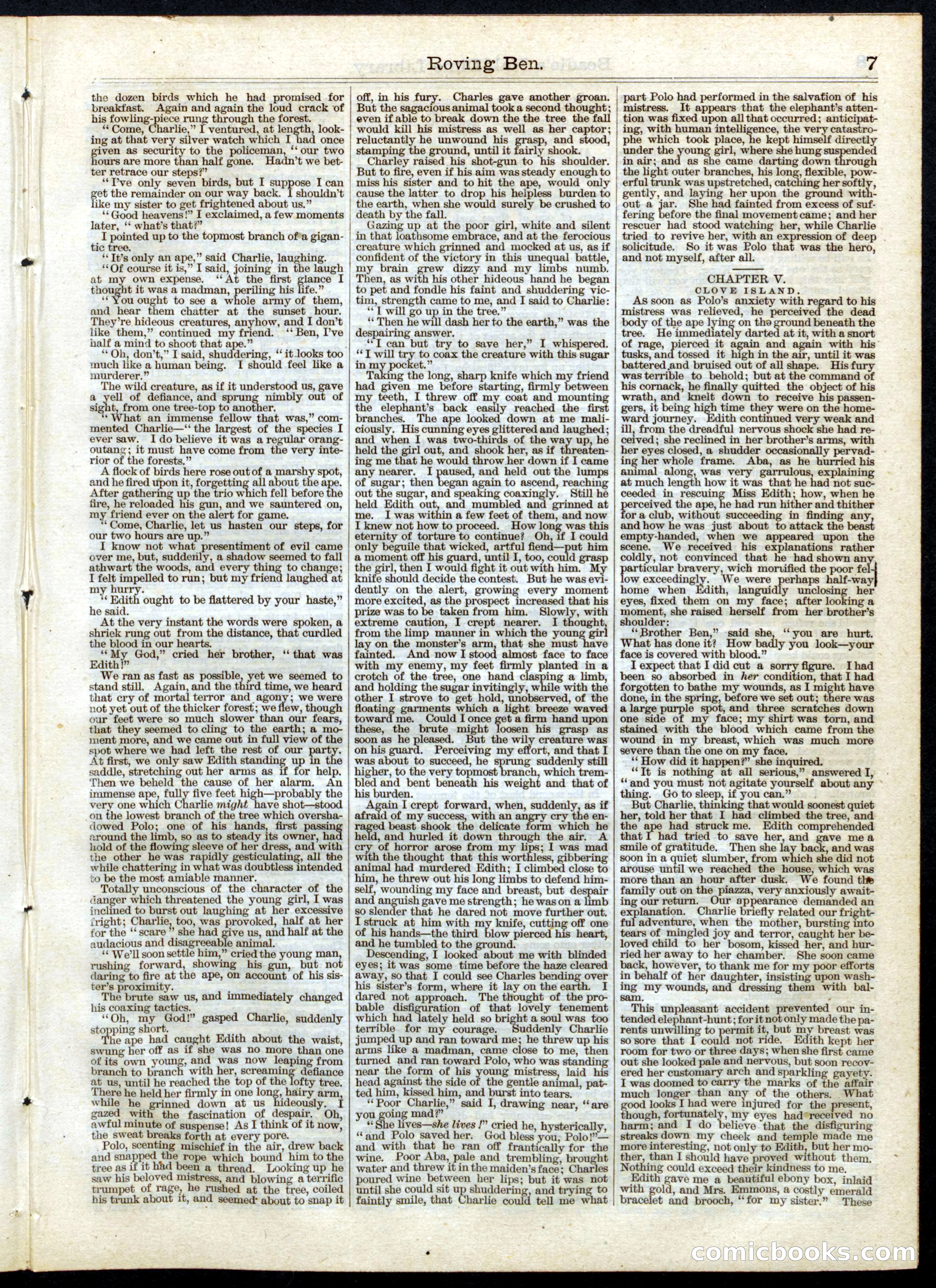 Beadle's Half Dime Library No. 40 — page 7 of 16