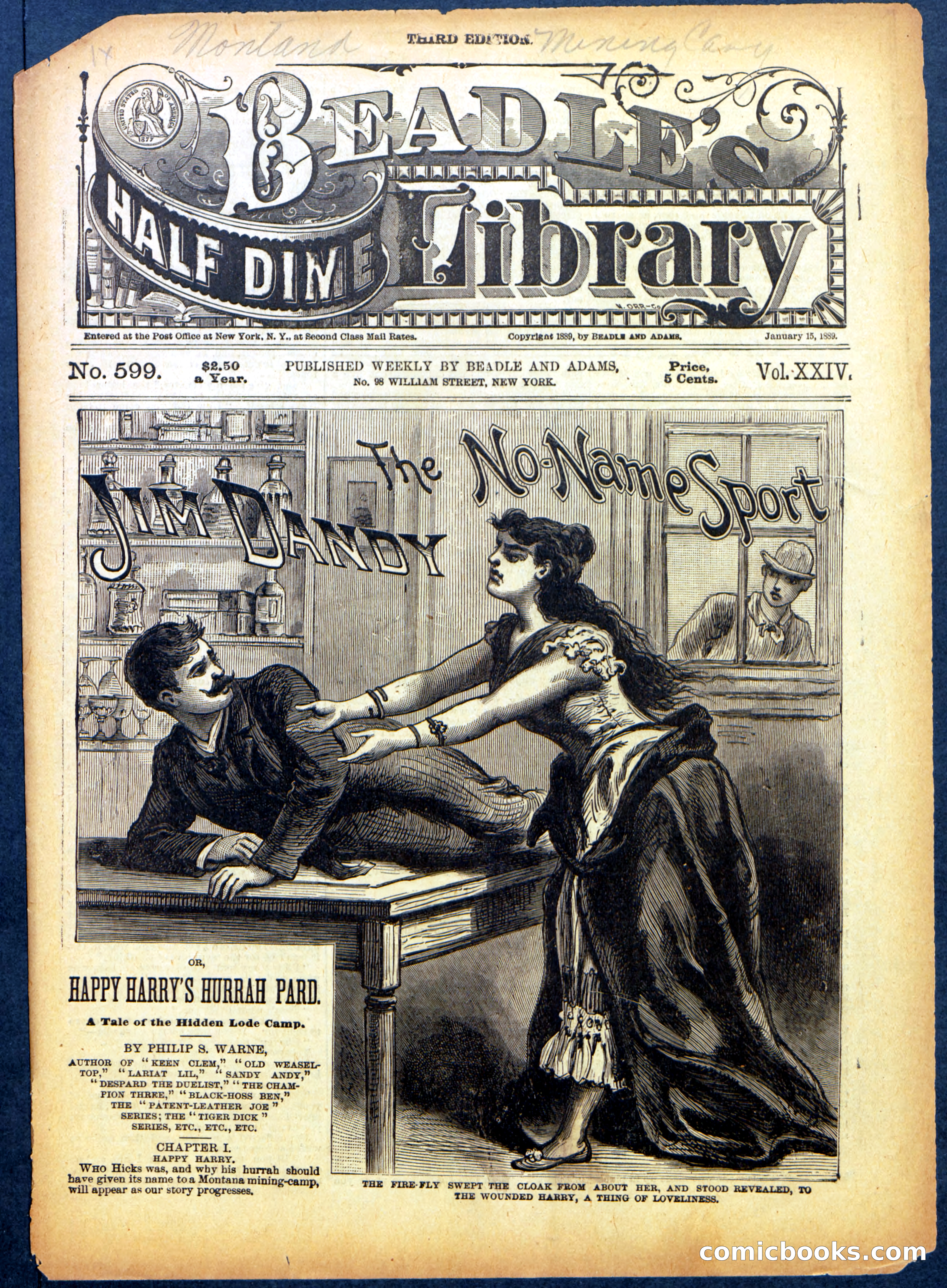 Beadle's Half Dime Library No. 599 — page 1 of 16