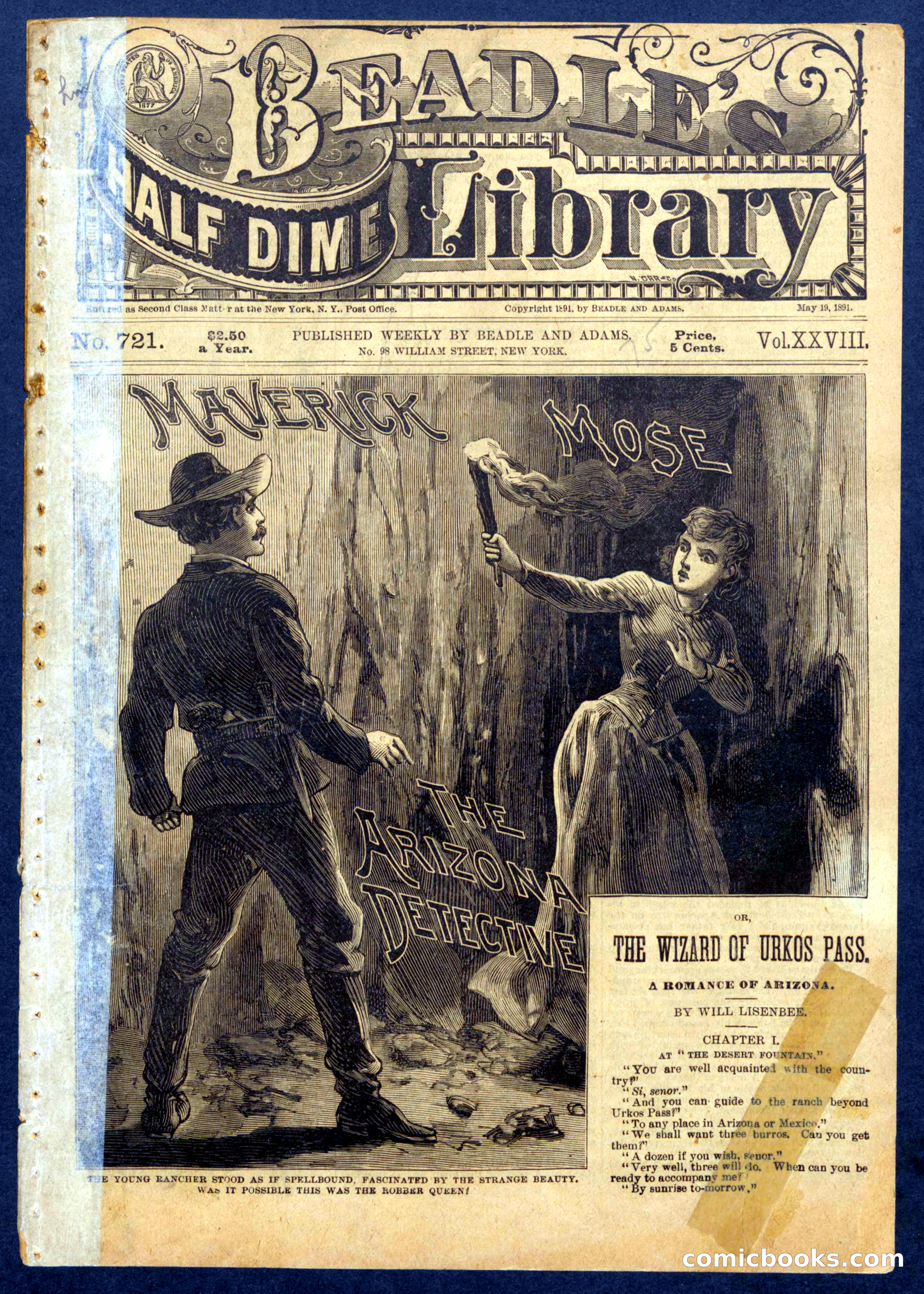 Beadle's Half Dime Library No. 721