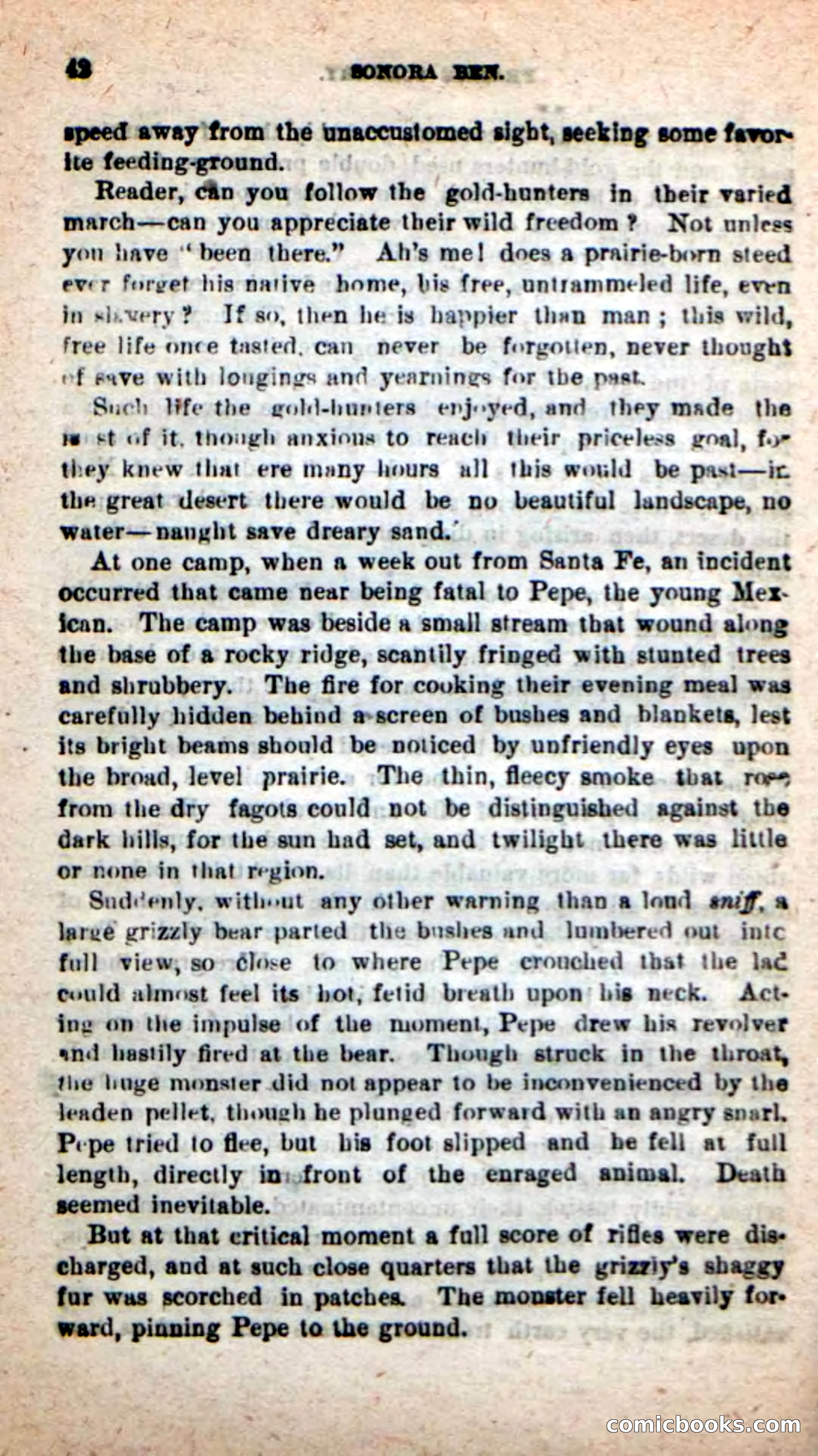 Beadle's New Dime Novels: Sonora Ben — page 38 of 100