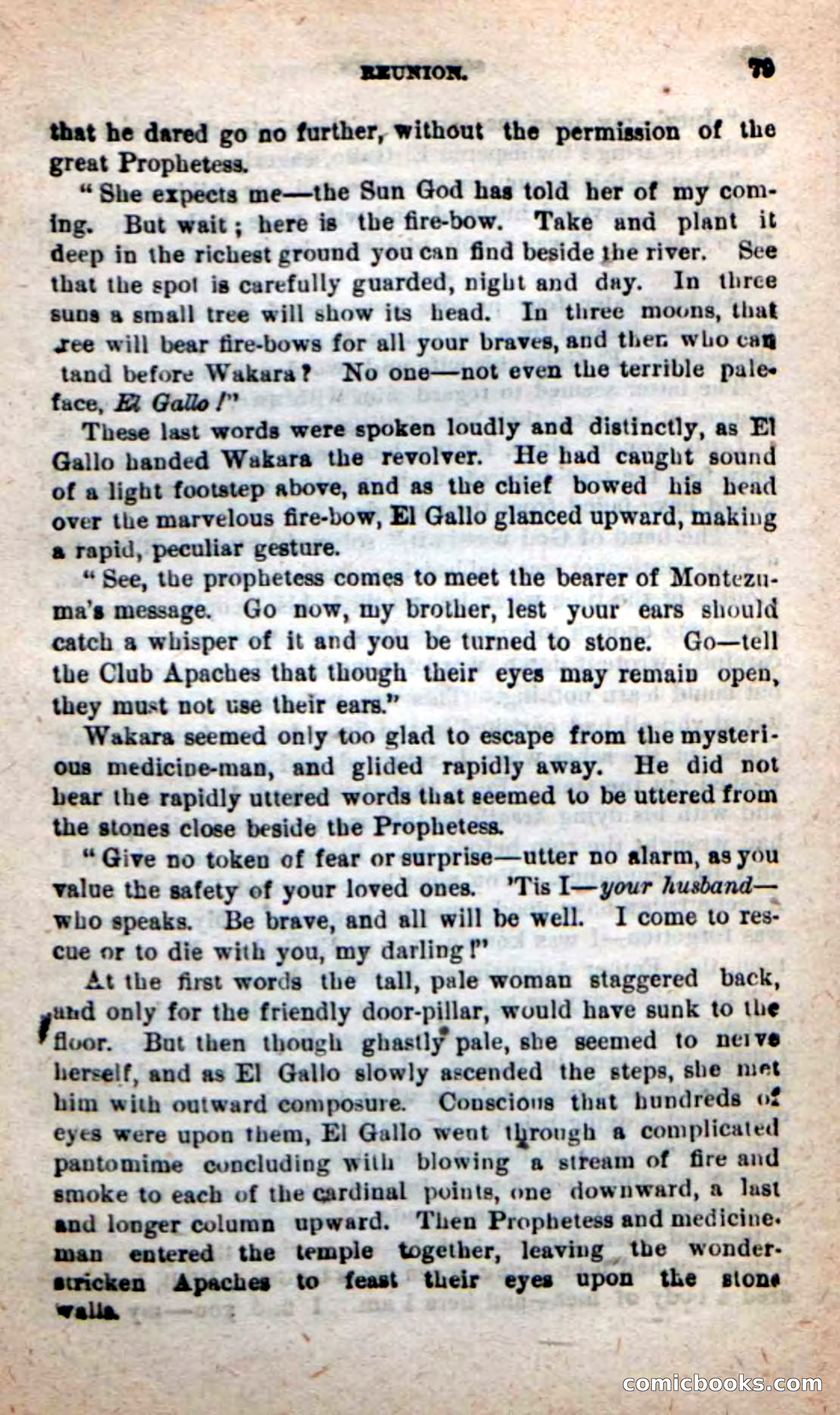 Beadle's New Dime Novels: Sonora Ben — page 75 of 100