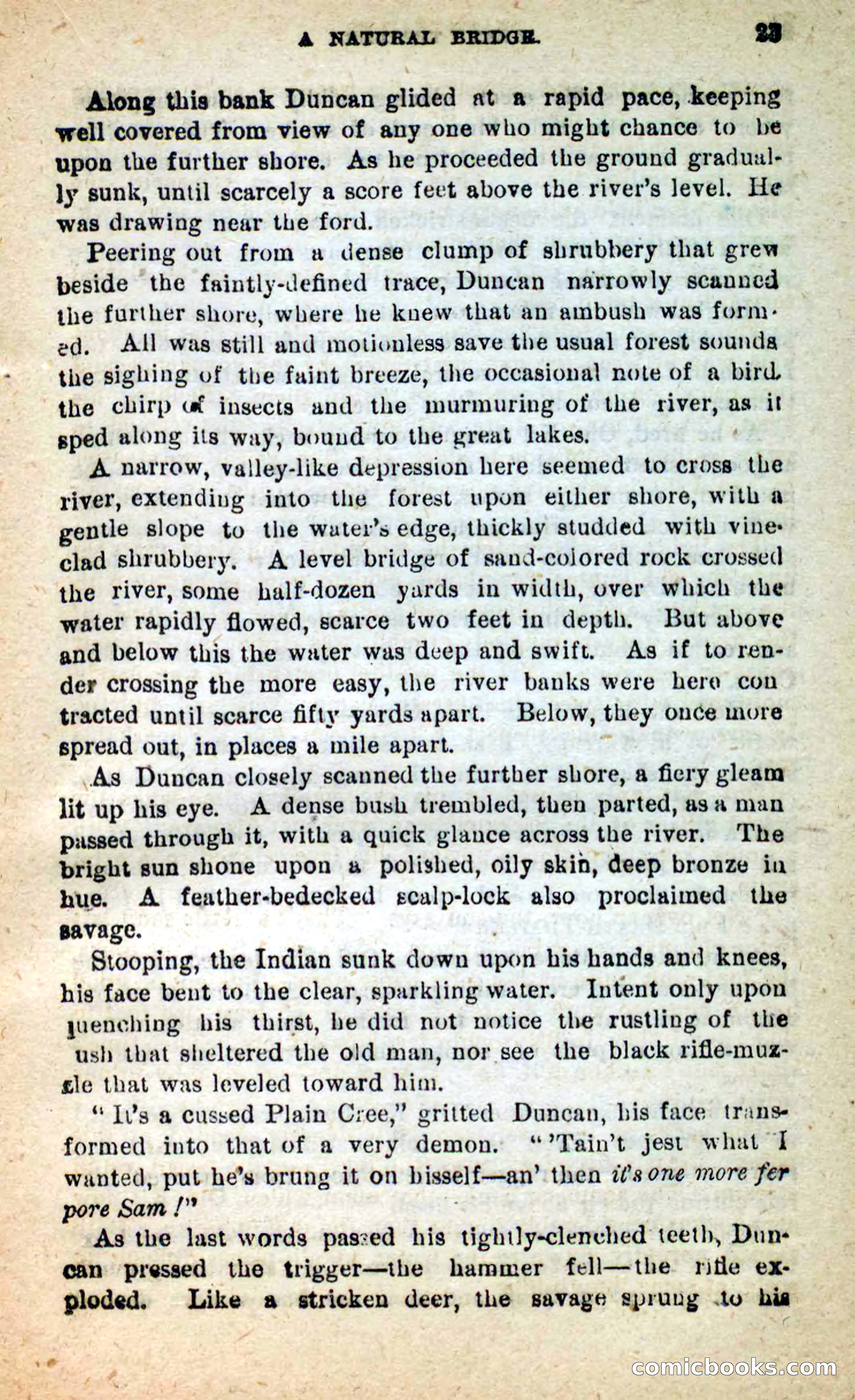 Beadle's New Dime Novels: Death-Trailer — page 19 of 99