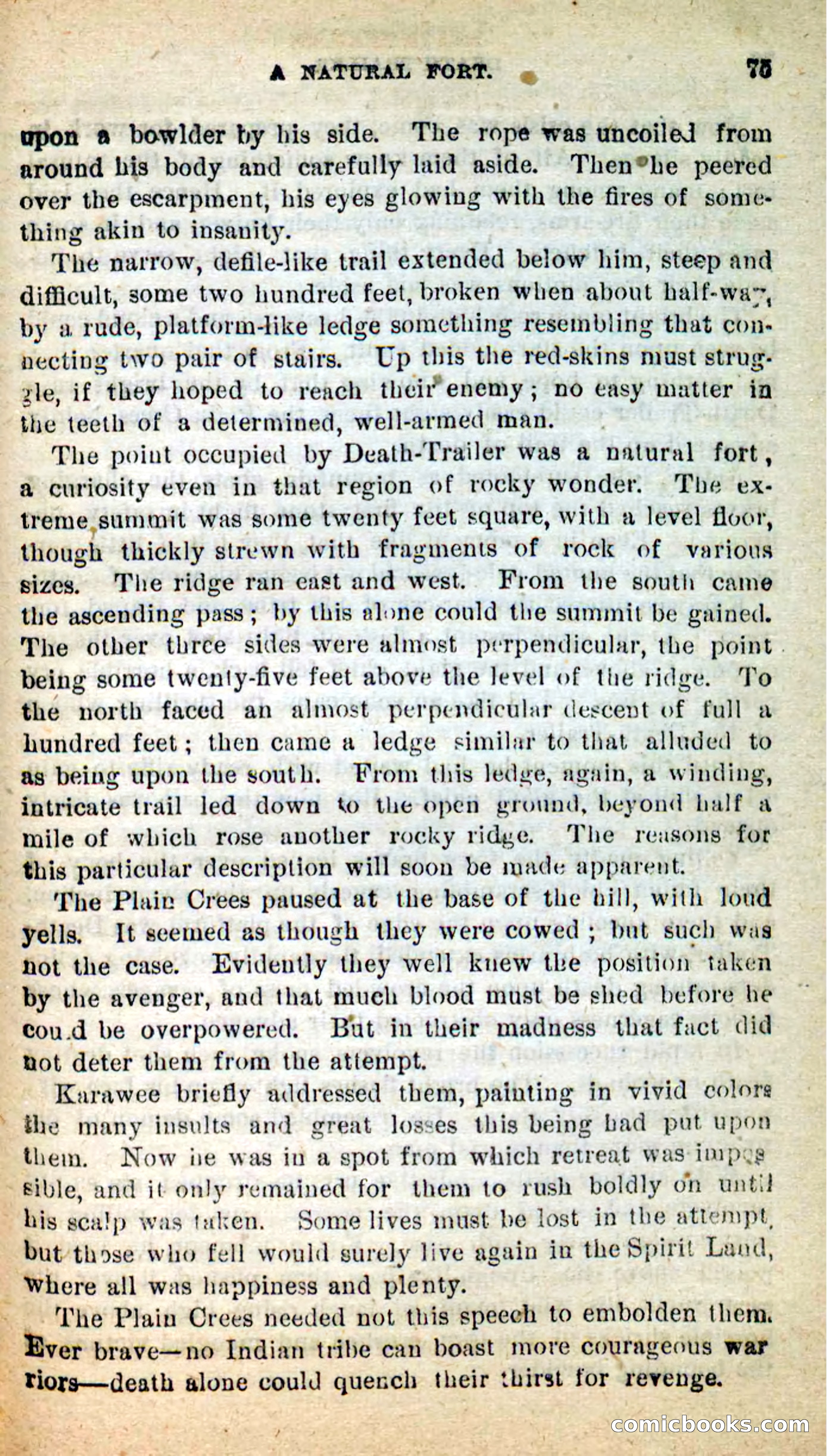 Beadle's New Dime Novels: Death-Trailer — page 71 of 99