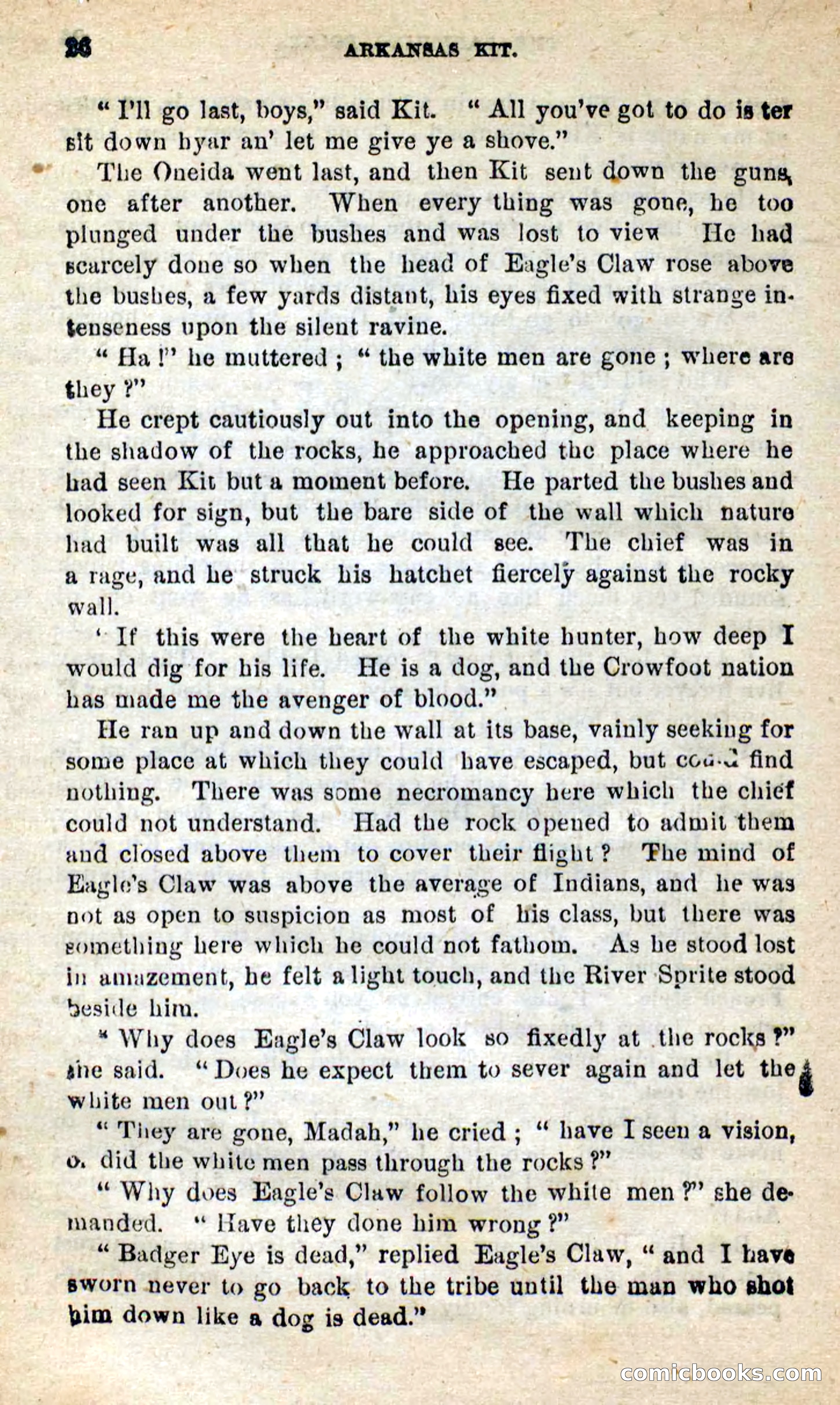 Beadle's New Dime Novels: Arkansas Kit — page 22 of 100