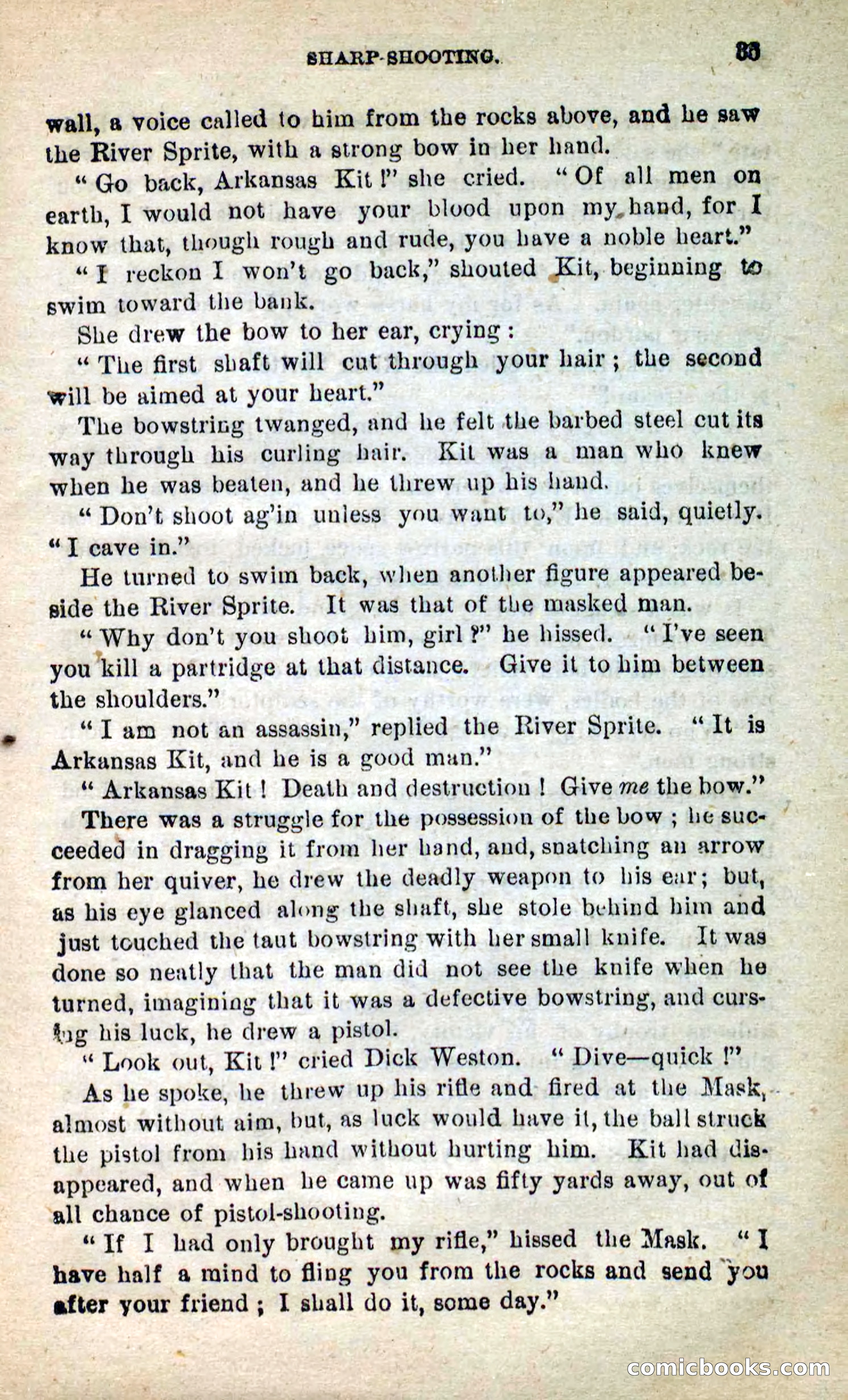 Beadle's New Dime Novels: Arkansas Kit — page 31 of 100