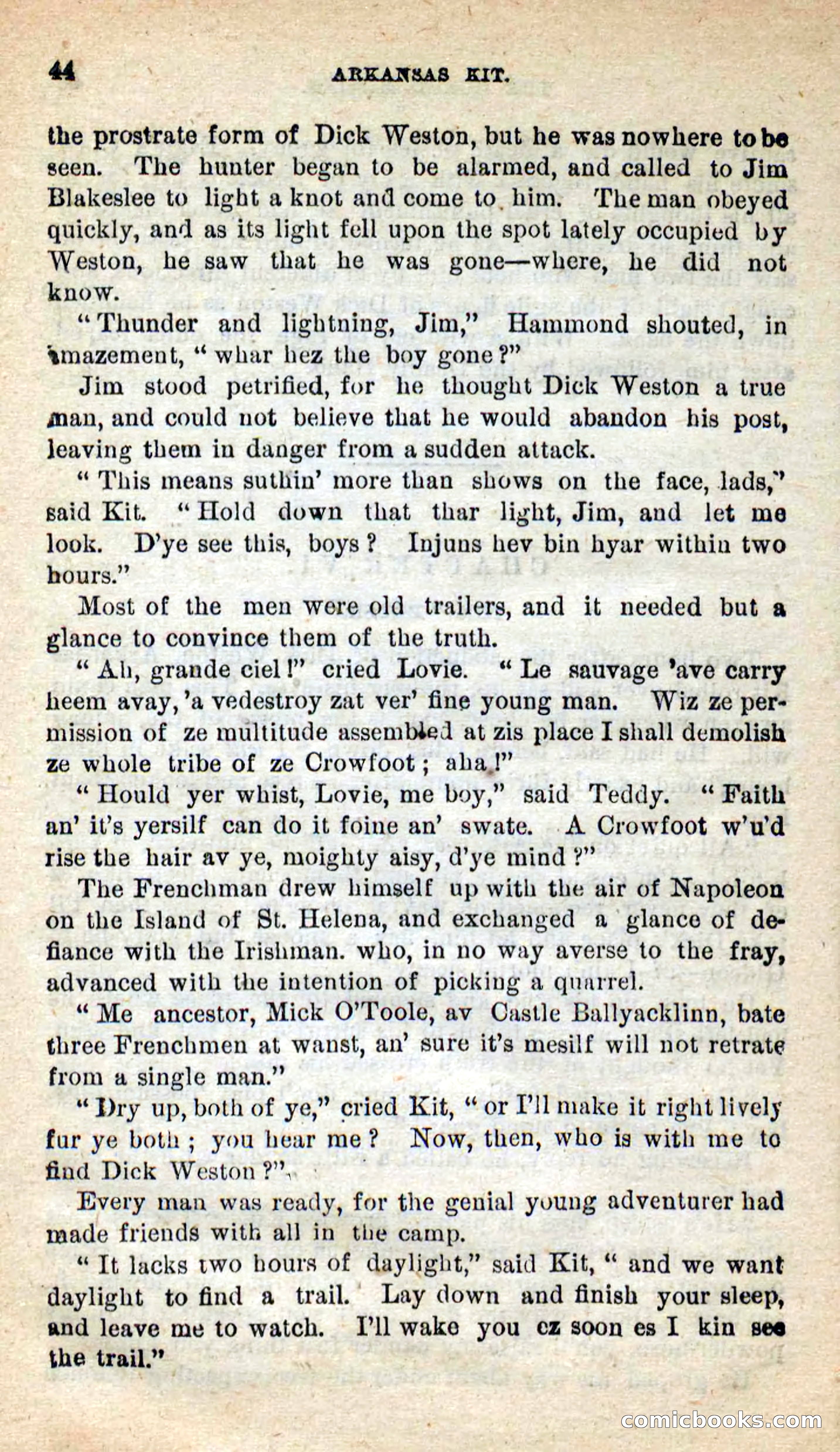 Beadle's New Dime Novels: Arkansas Kit — page 40 of 100