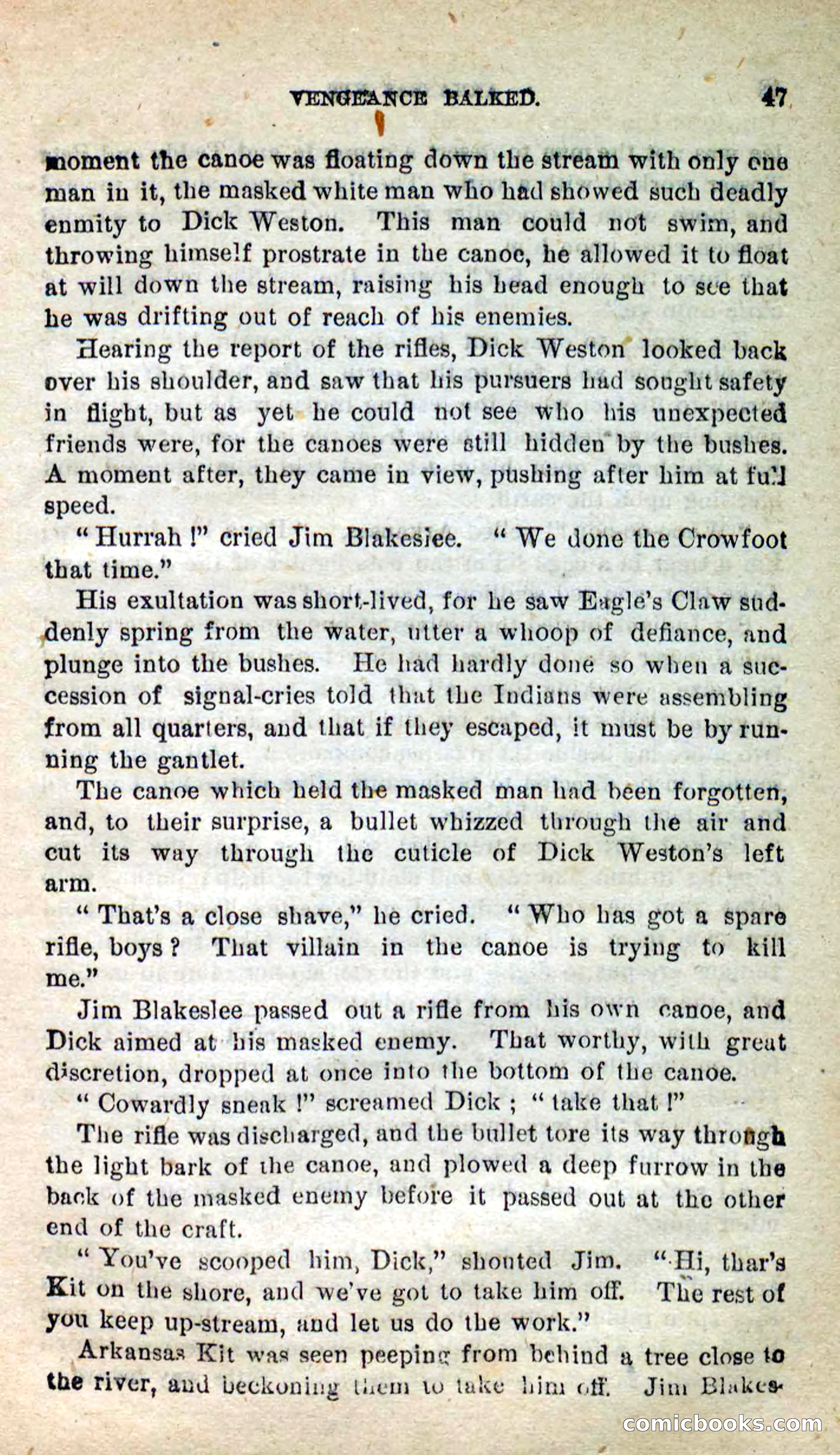 Beadle's New Dime Novels: Arkansas Kit — page 43 of 100