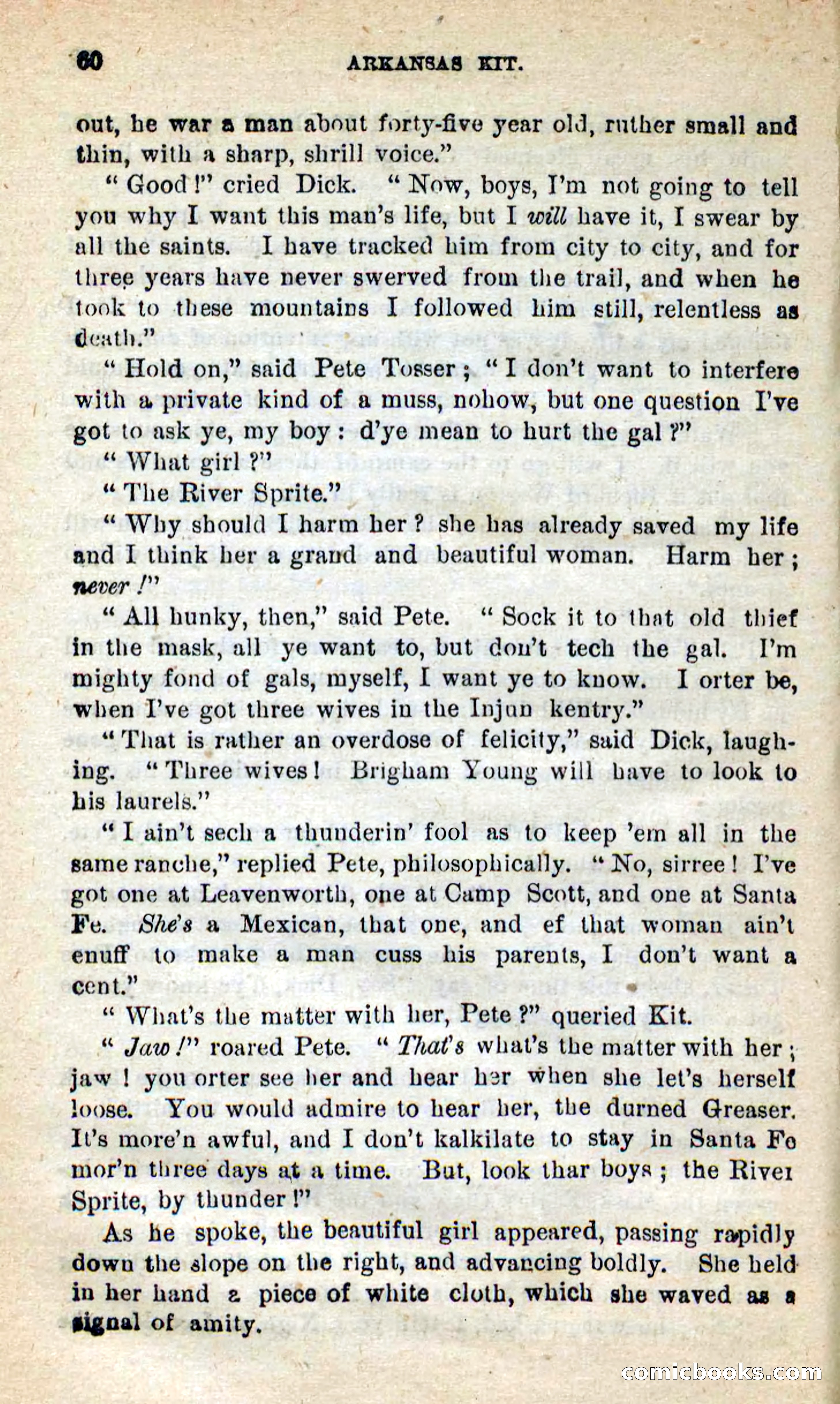Beadle's New Dime Novels: Arkansas Kit — page 56 of 100