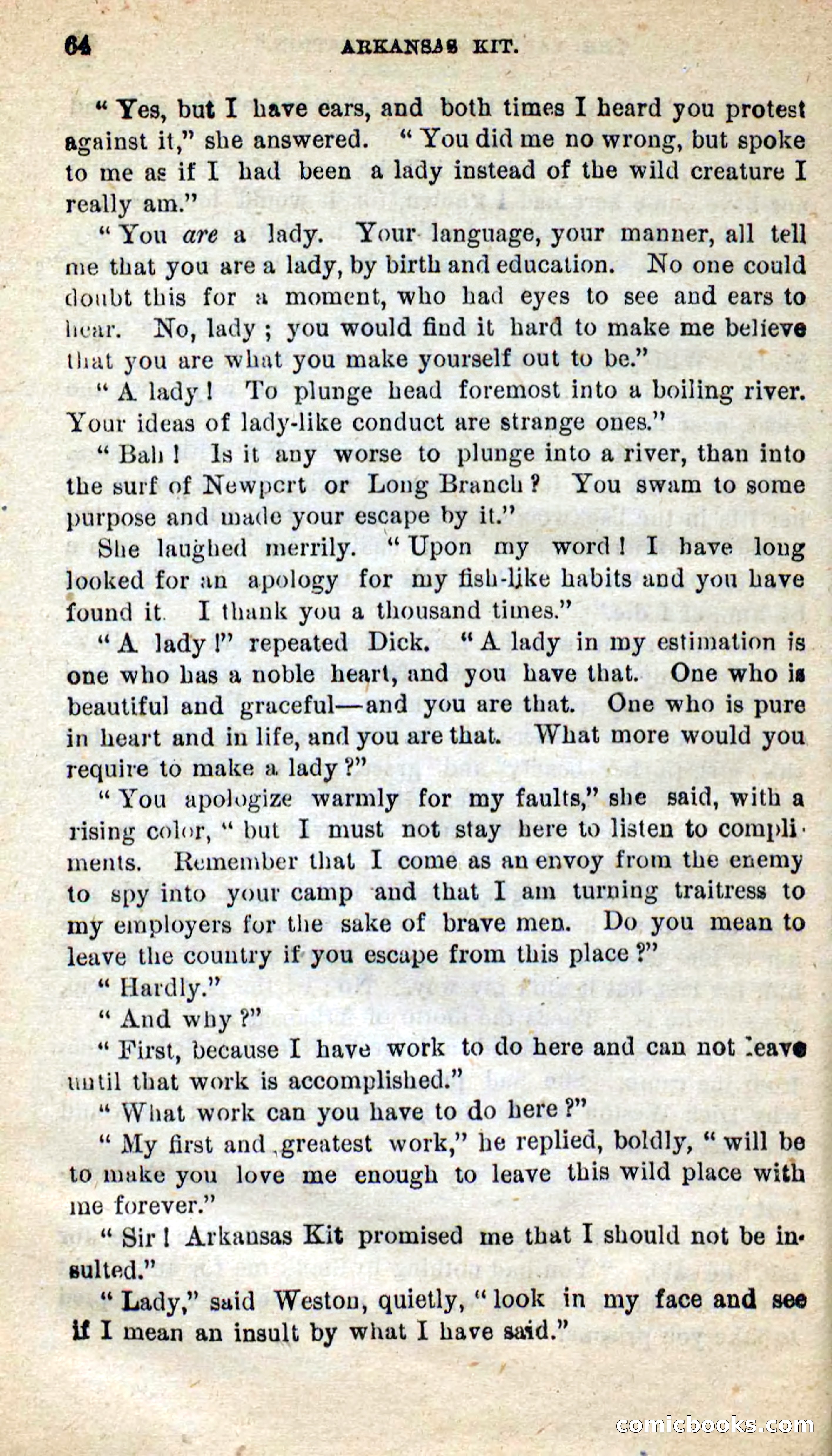 Beadle's New Dime Novels: Arkansas Kit — page 60 of 100