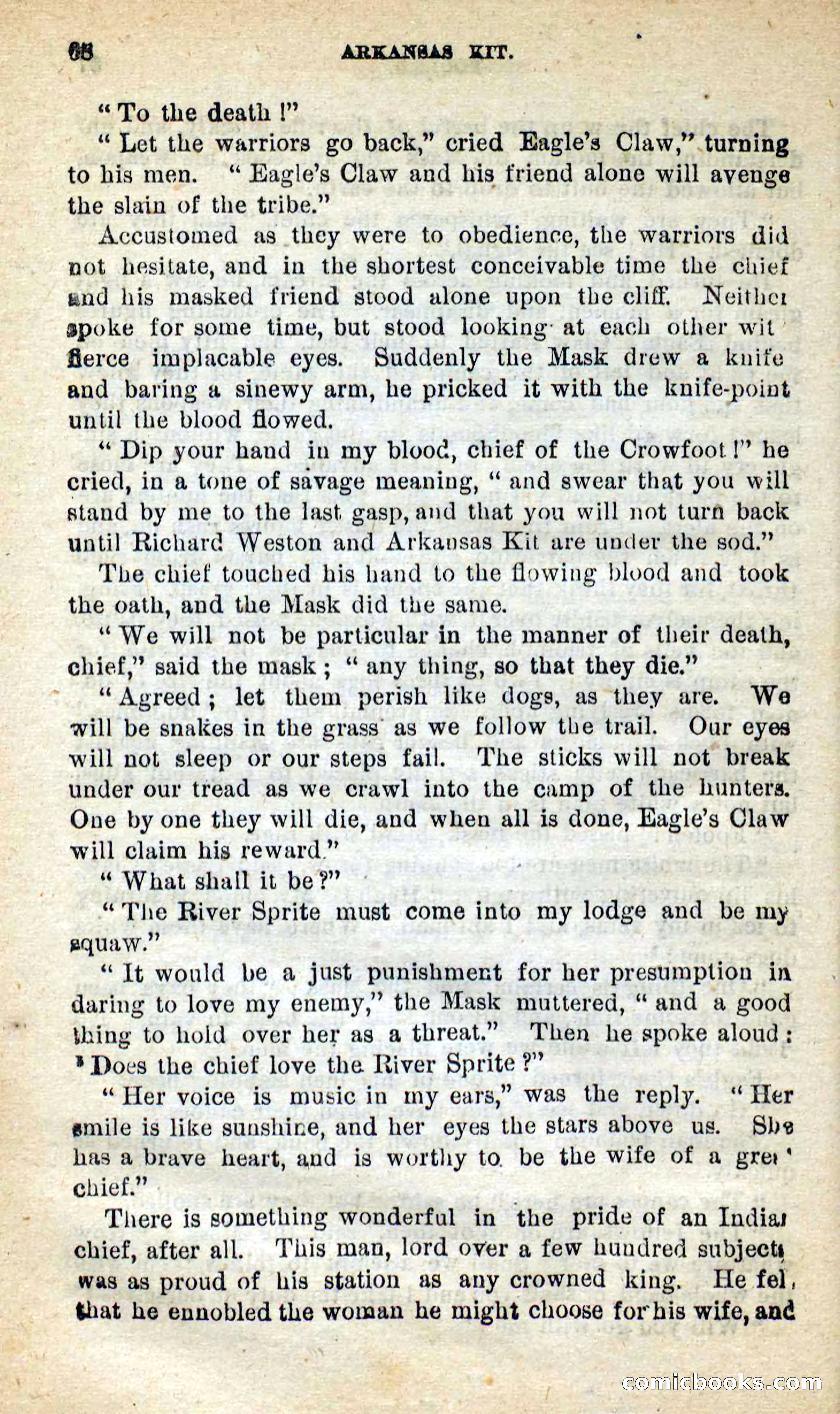 Beadle's New Dime Novels: Arkansas Kit — page 64 of 100