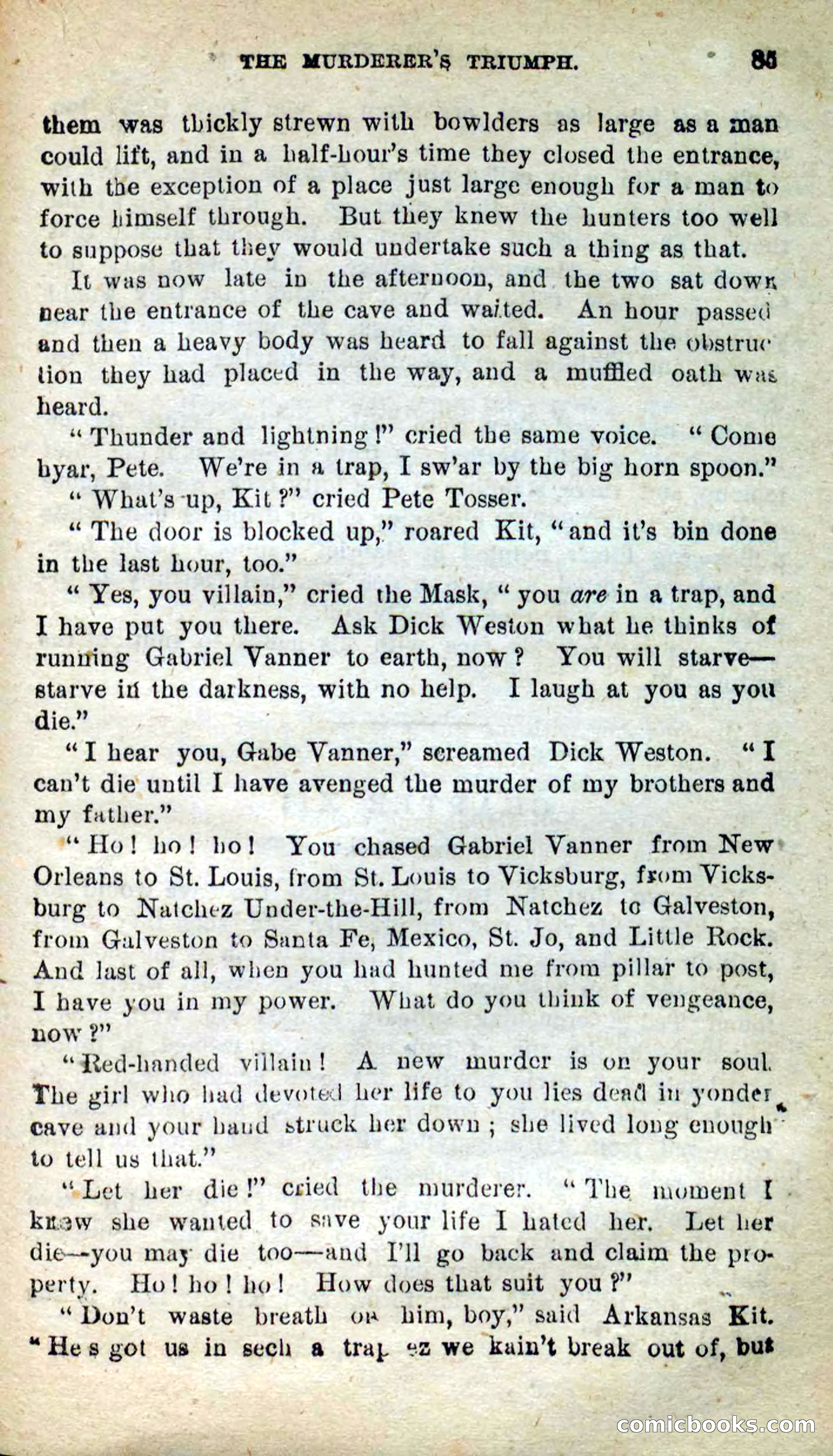 Beadle's New Dime Novels: Arkansas Kit — page 81 of 100