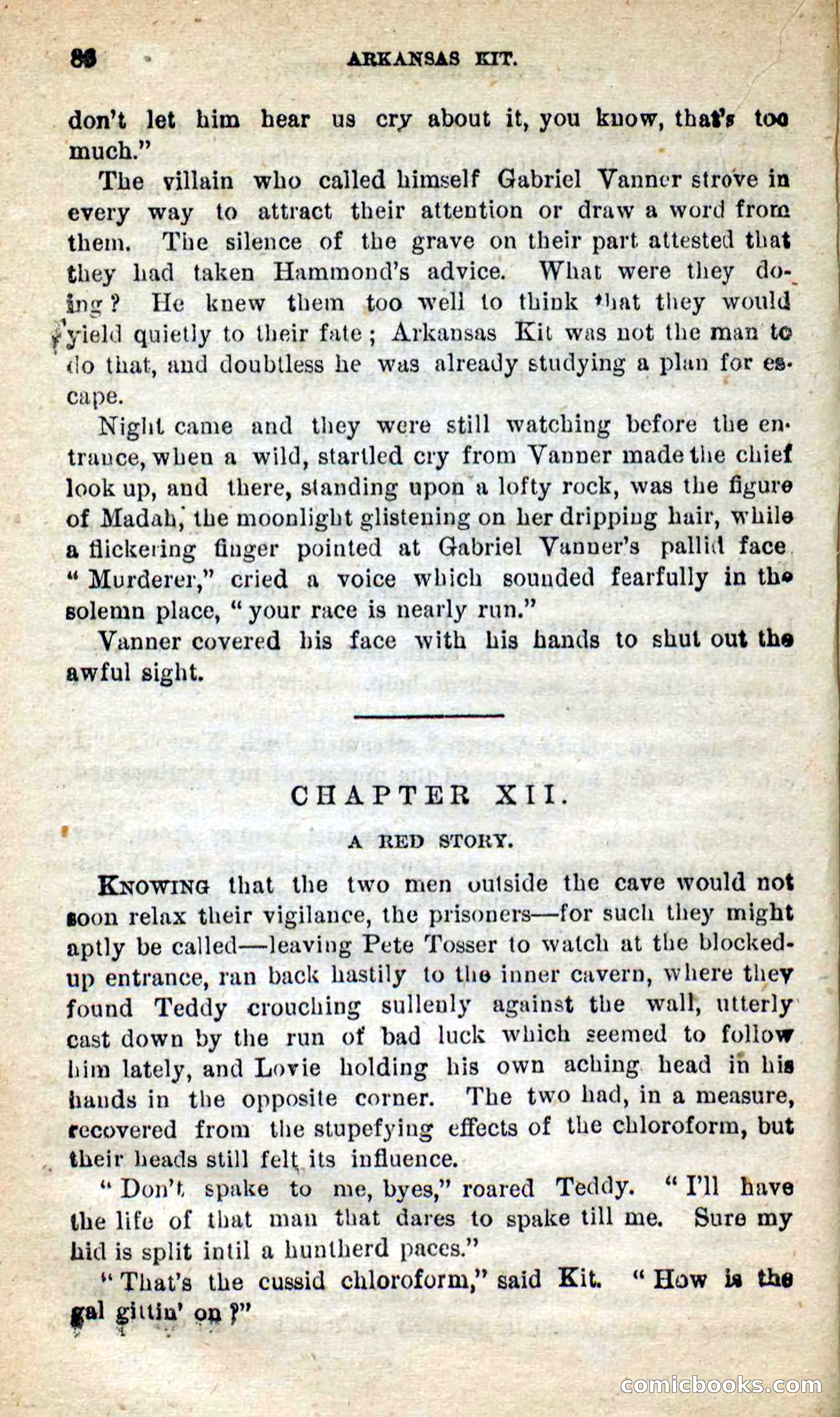 Beadle's New Dime Novels: Arkansas Kit — page 82 of 100