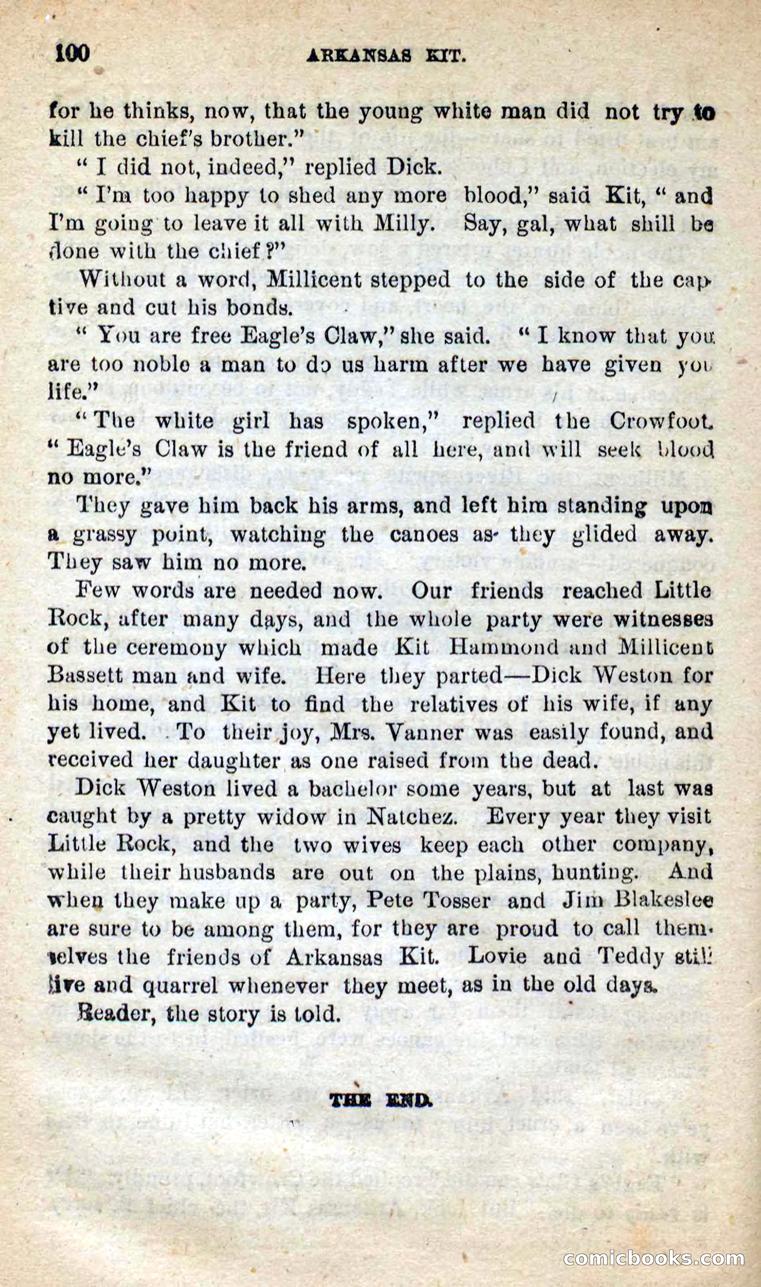 Beadle's New Dime Novels: Arkansas Kit — page 96 of 100