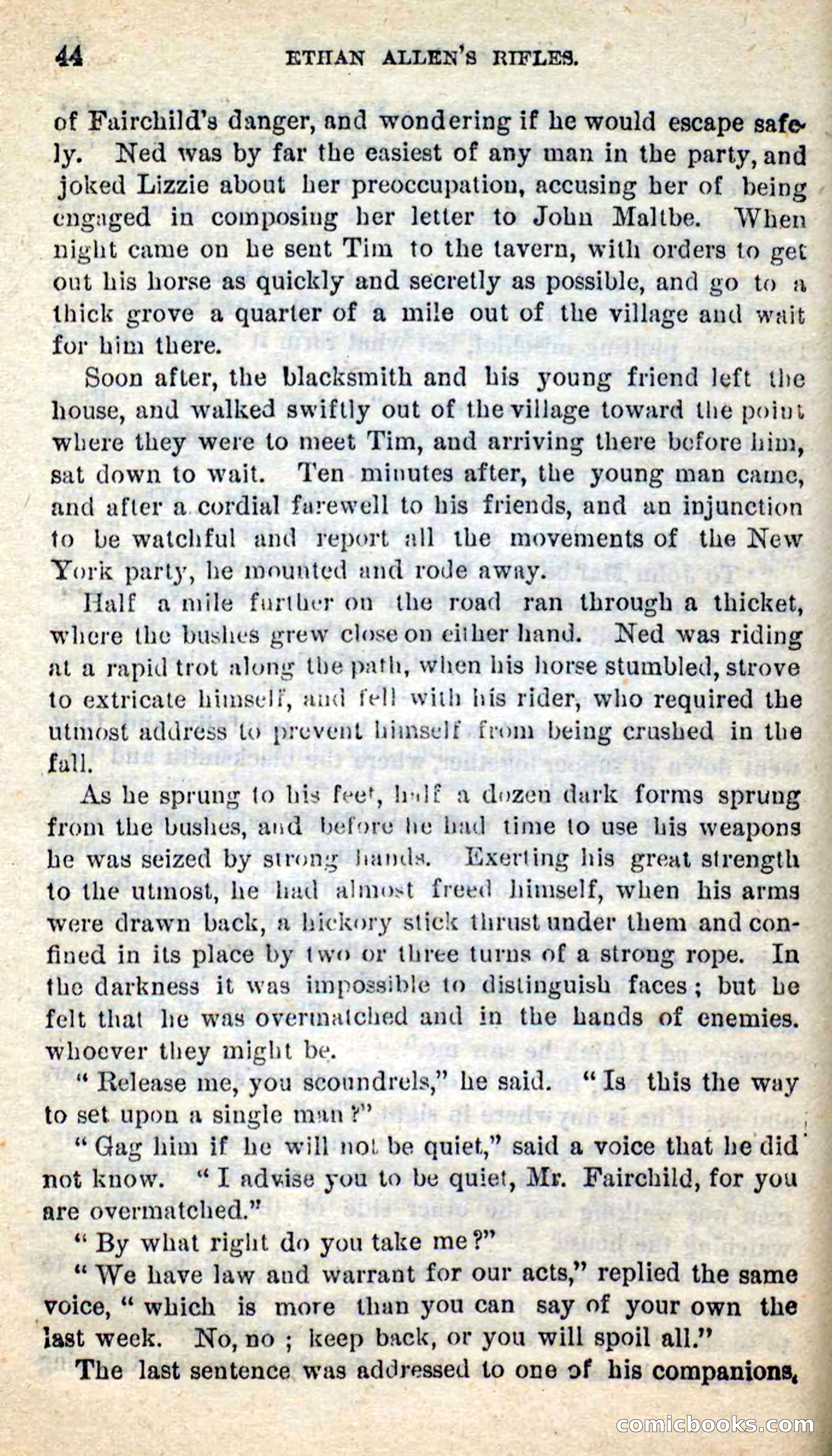 Ethan Allen's Rifles — page 40 of 100