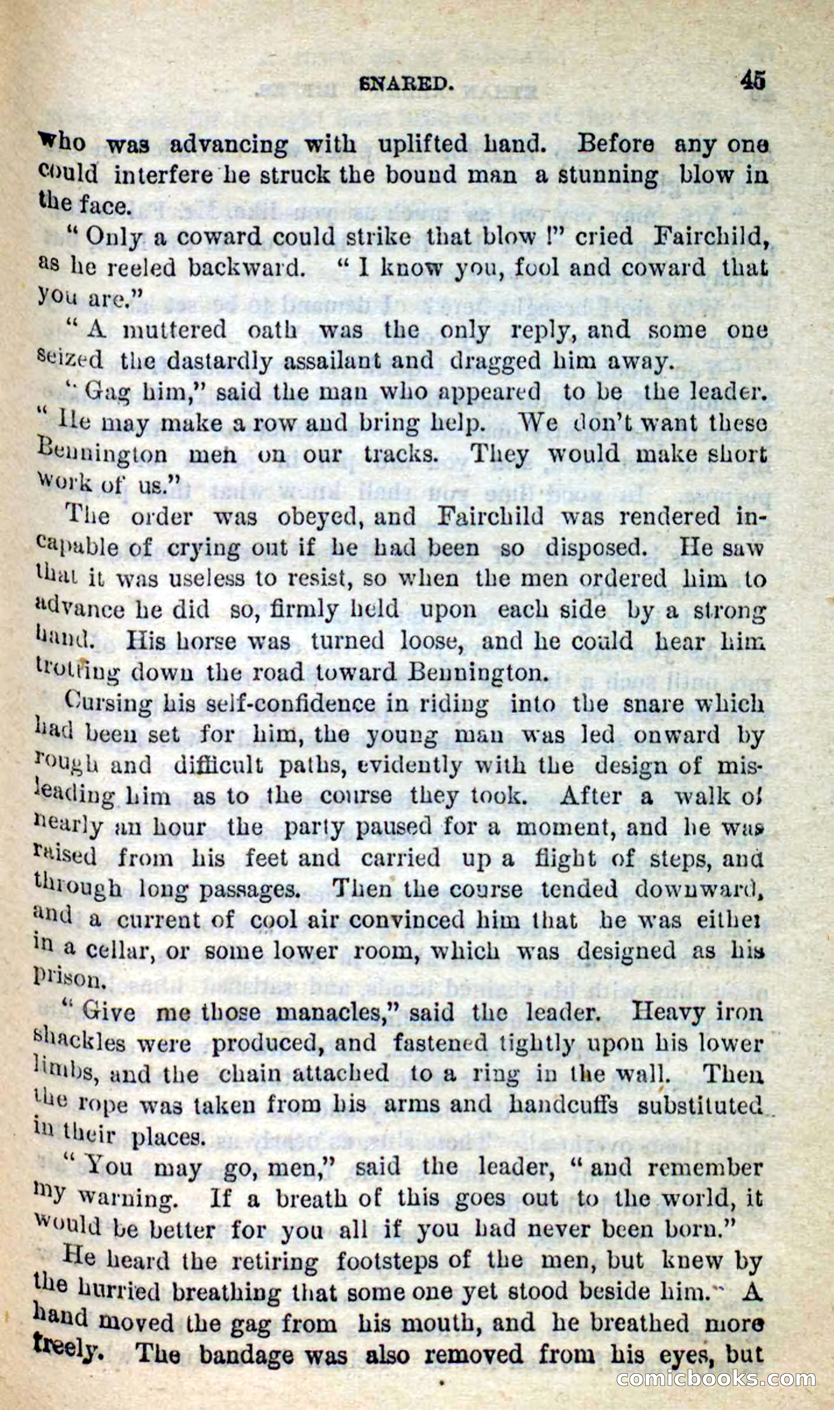Ethan Allen's Rifles — page 41 of 100