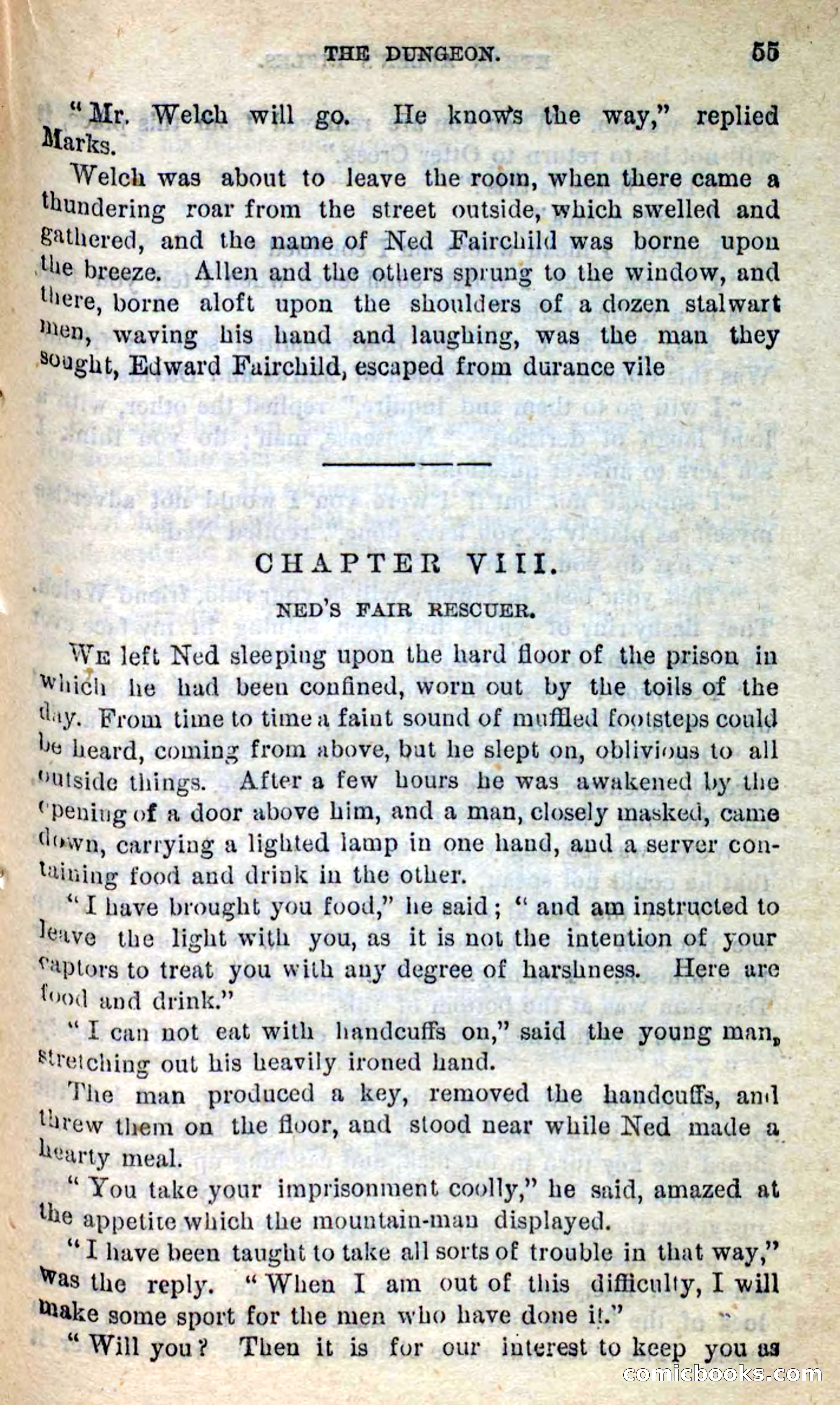 Ethan Allen's Rifles — page 51 of 100
