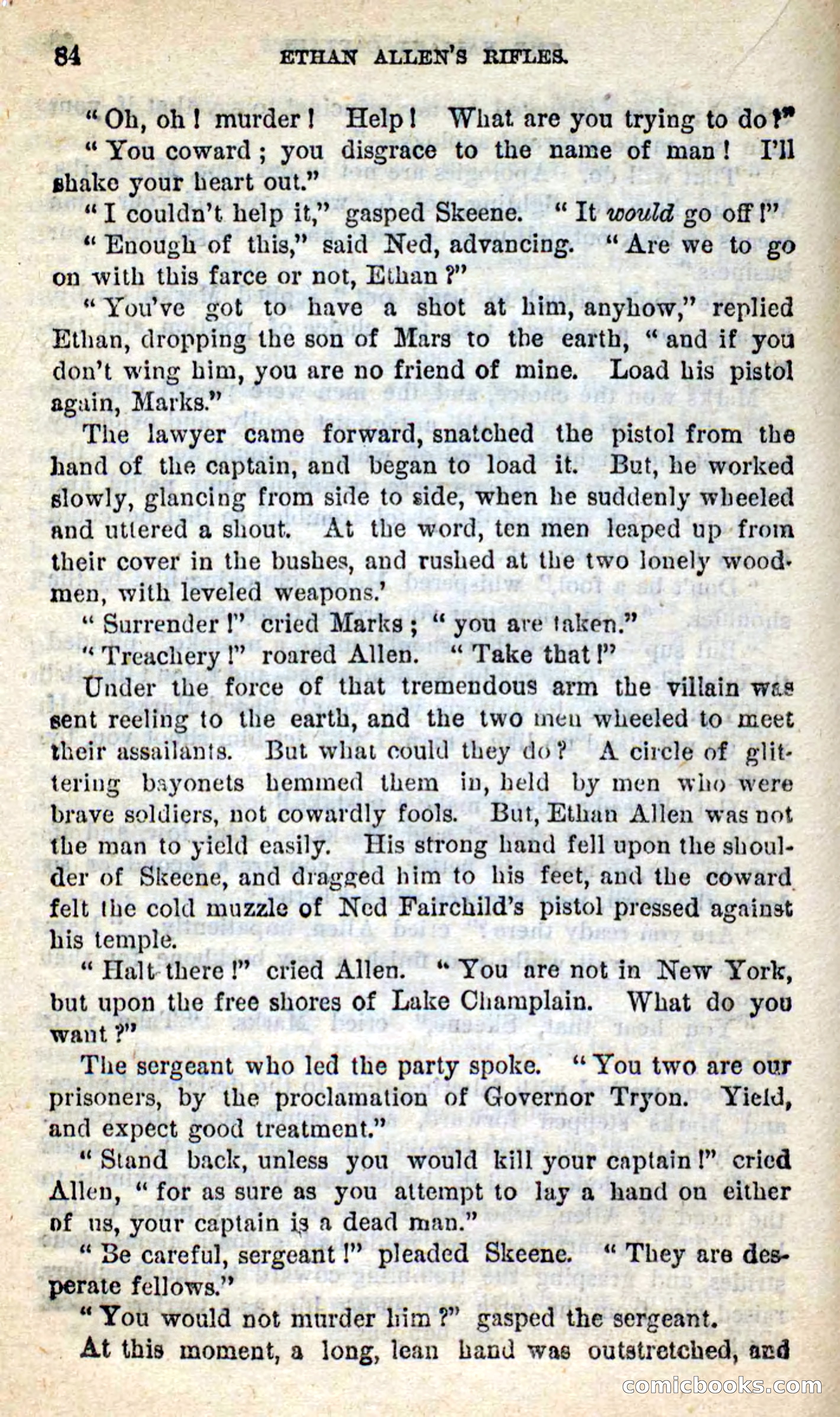 Ethan Allen's Rifles — page 80 of 100