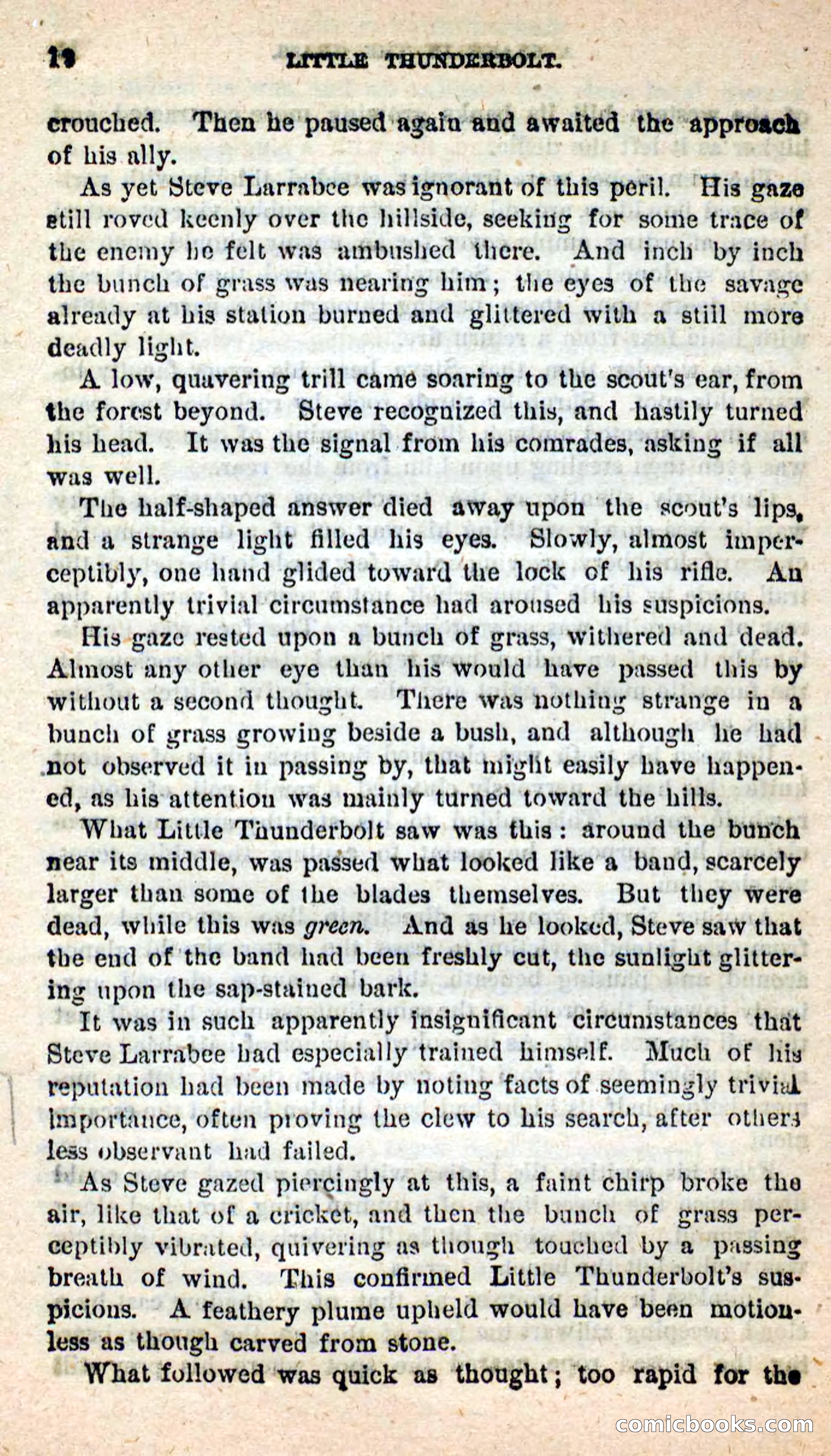 Little Thunderbolt — page 8 of 100