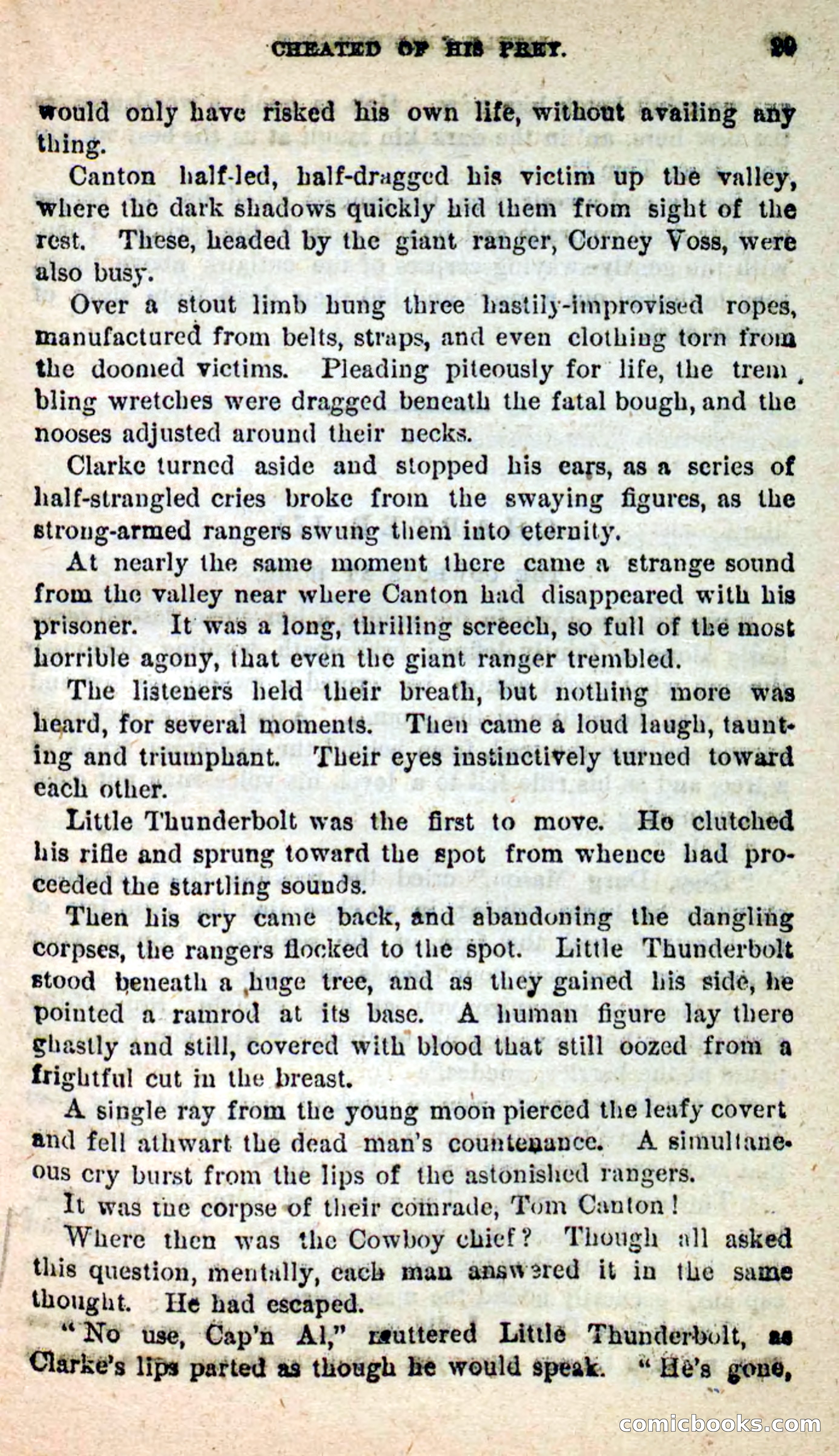 Little Thunderbolt — page 25 of 100