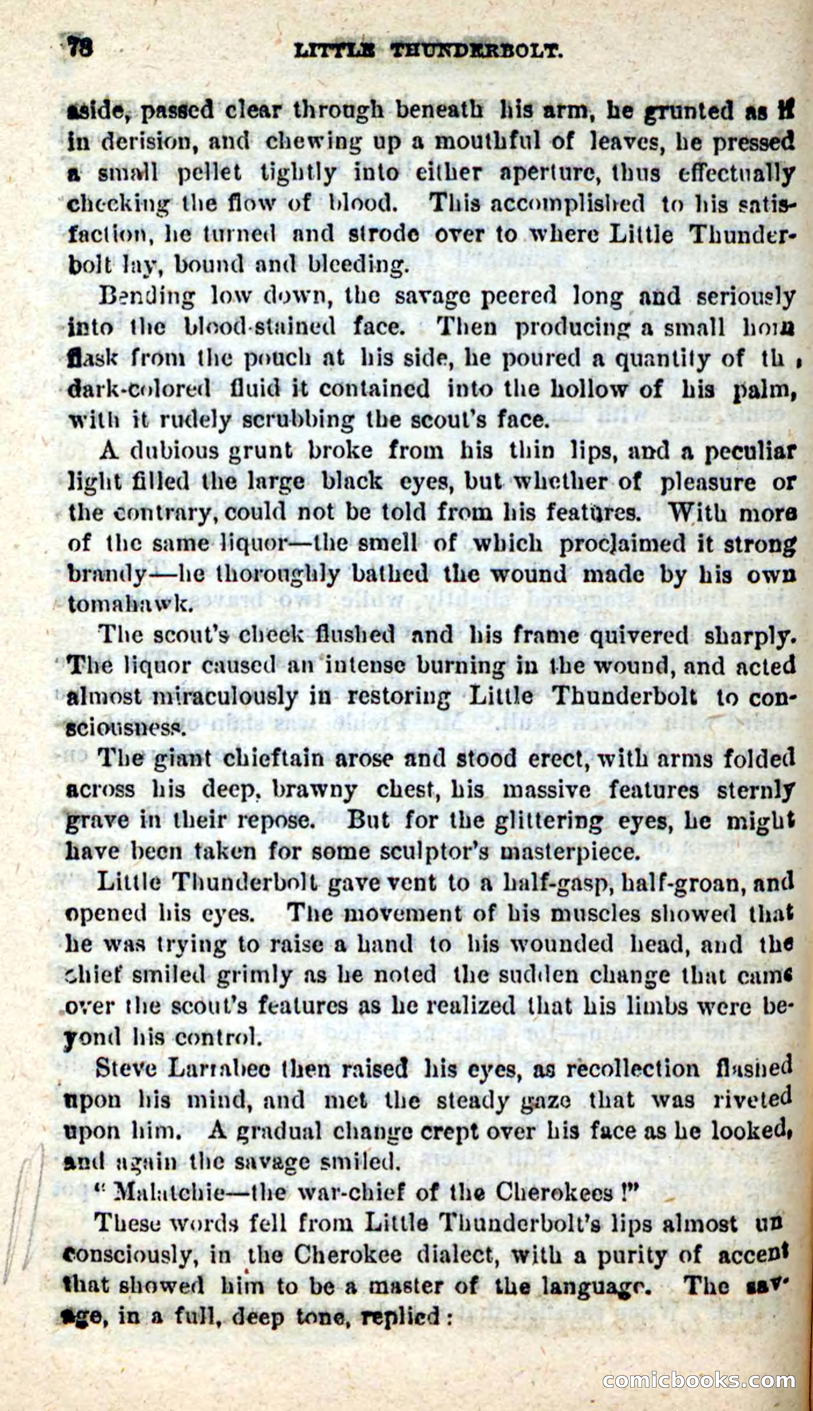 Little Thunderbolt — page 74 of 100